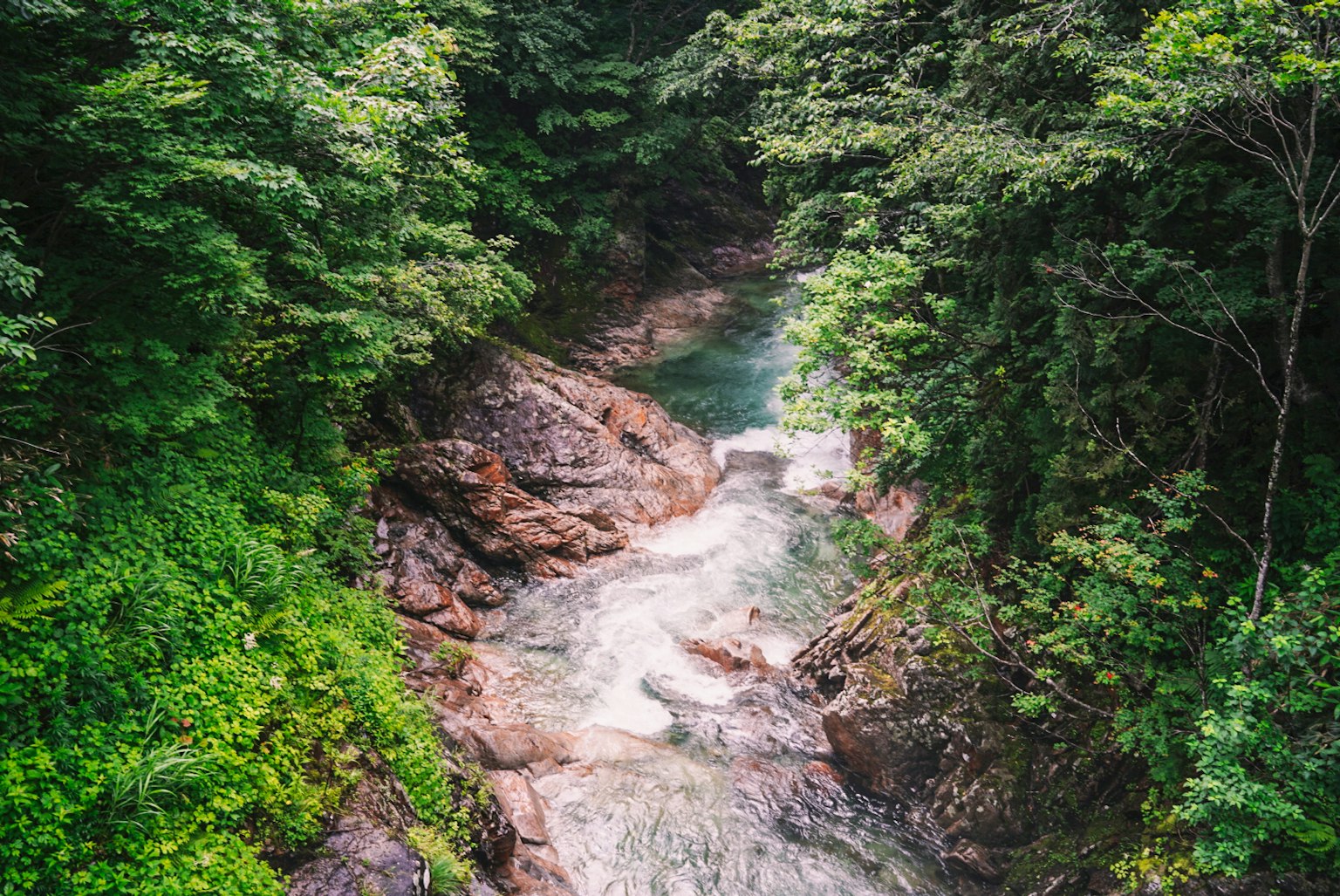 A clear stream flowing through a lush green valley with rocks