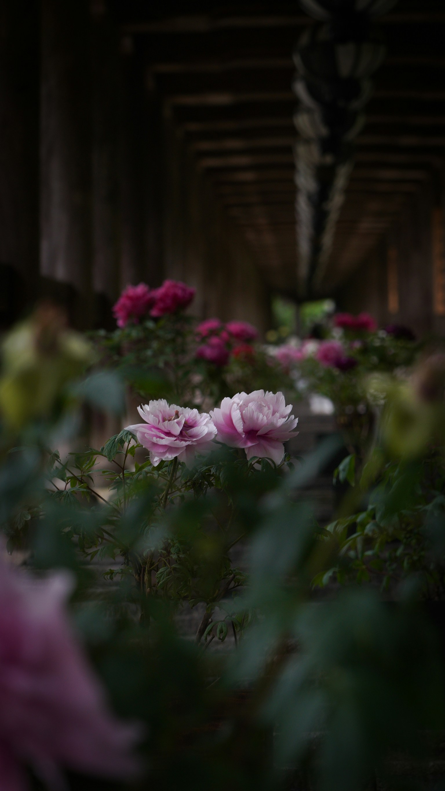 photo-uIMnmDP5jAOtXgiRldS7-image