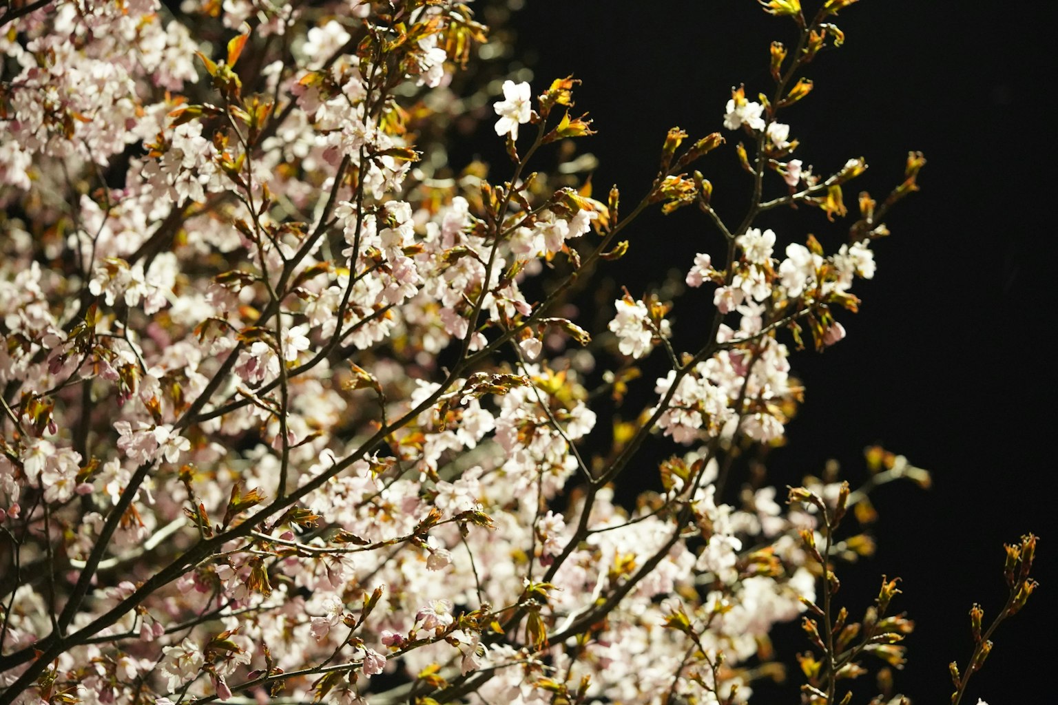 photo-uIjWWp4xzTufjWlxxV0v-image