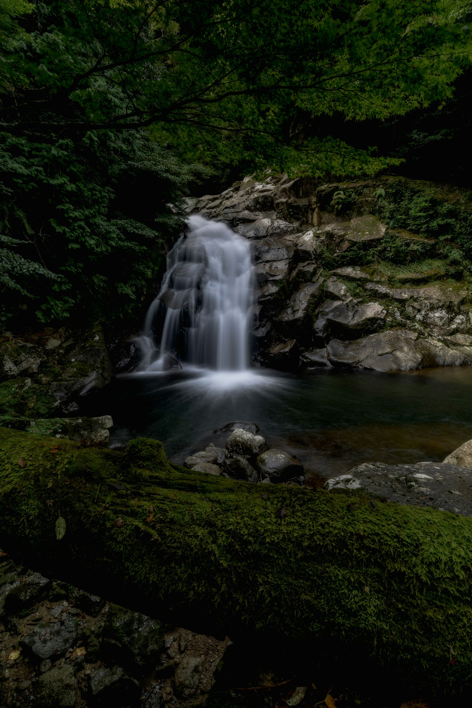 Pemandangan indah dari air terjun yang dikelilingi oleh kehijauan