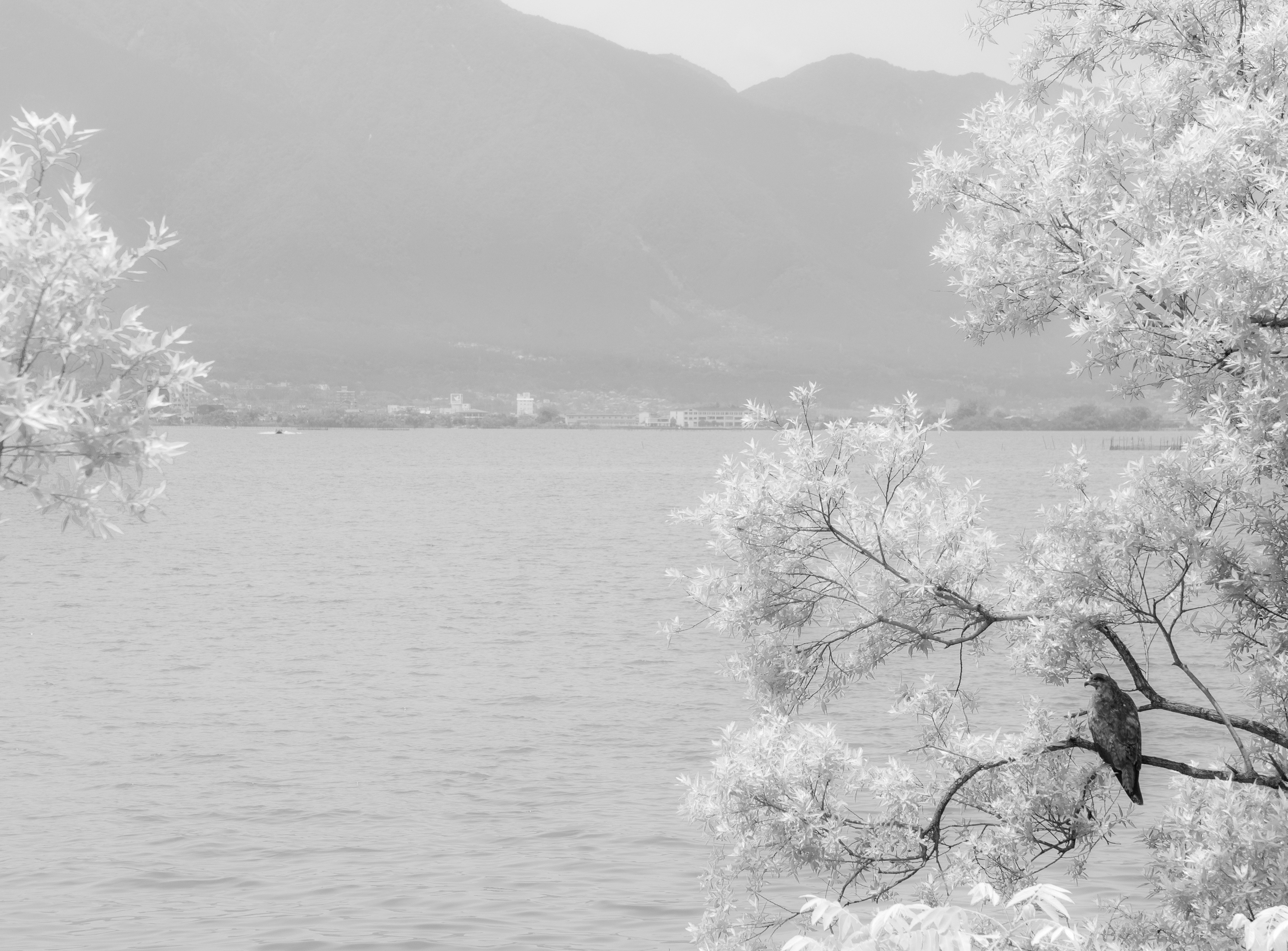 Paesaggio in bianco e nero sul lago, acqua e montagne lontane