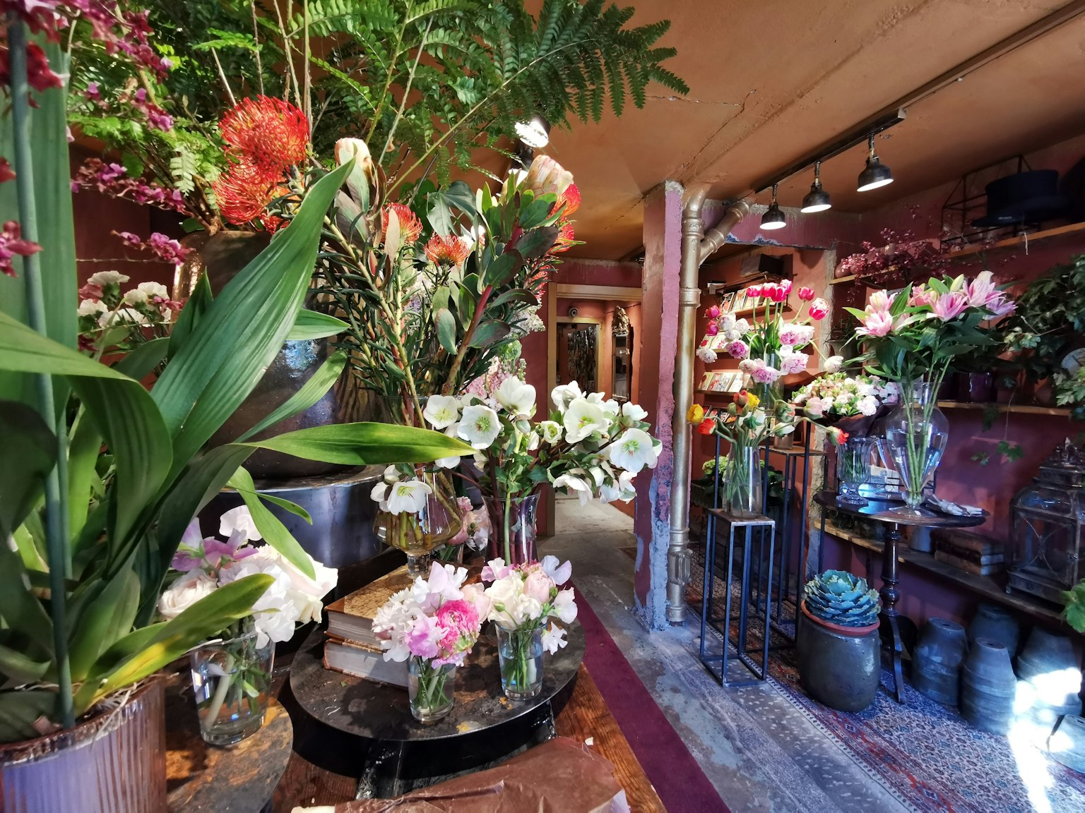 Interno di un negozio di fiori ricco di fiori e piante vibranti