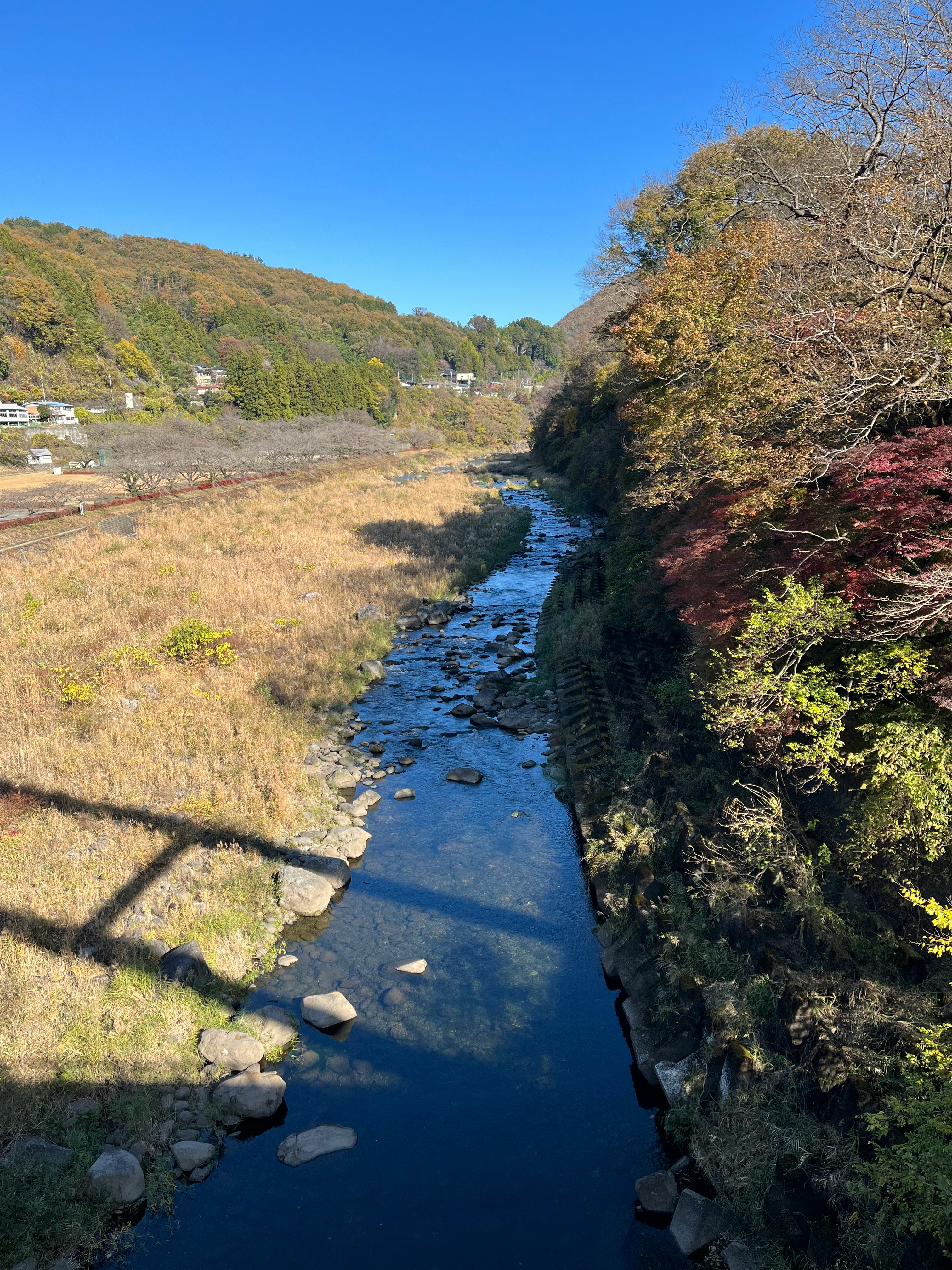 渓流と川沿いの紅葉が続く山あいの景色