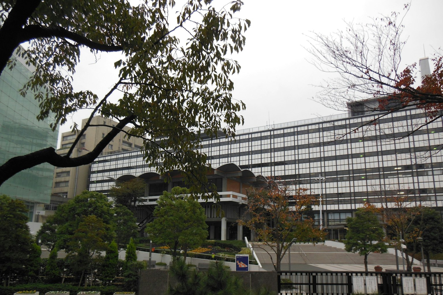城市建築與前景中的綠樹