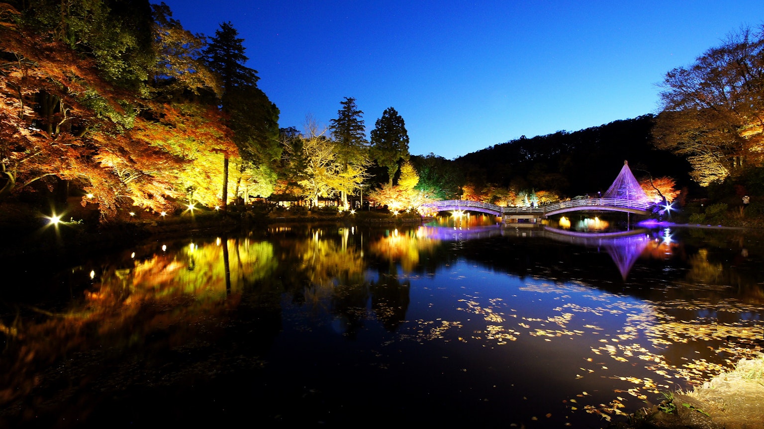 Vue nocturne d'un lac avec des arbres illuminés et un pont