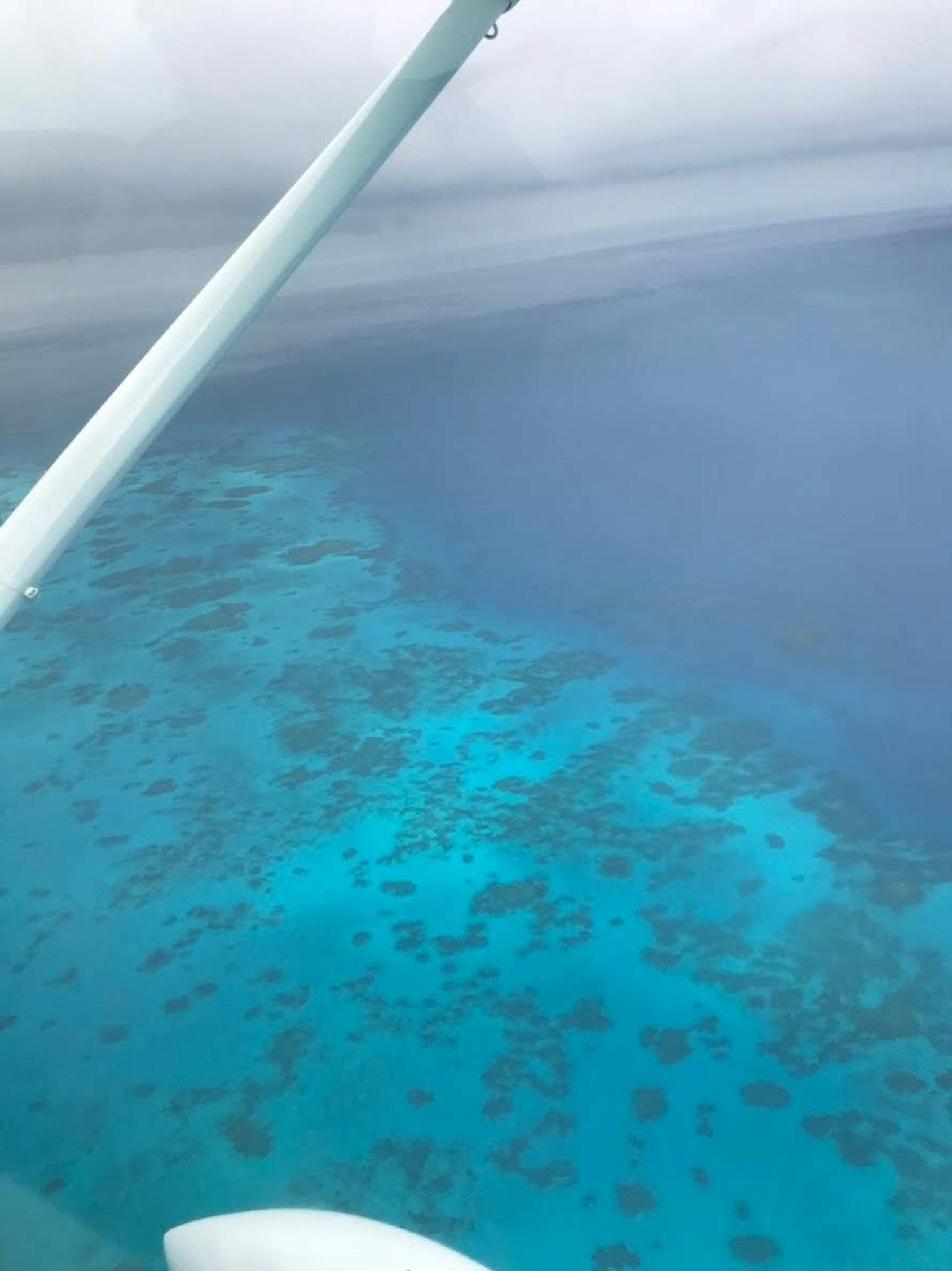 Vista aérea del océano azul y los arrecifes de coral