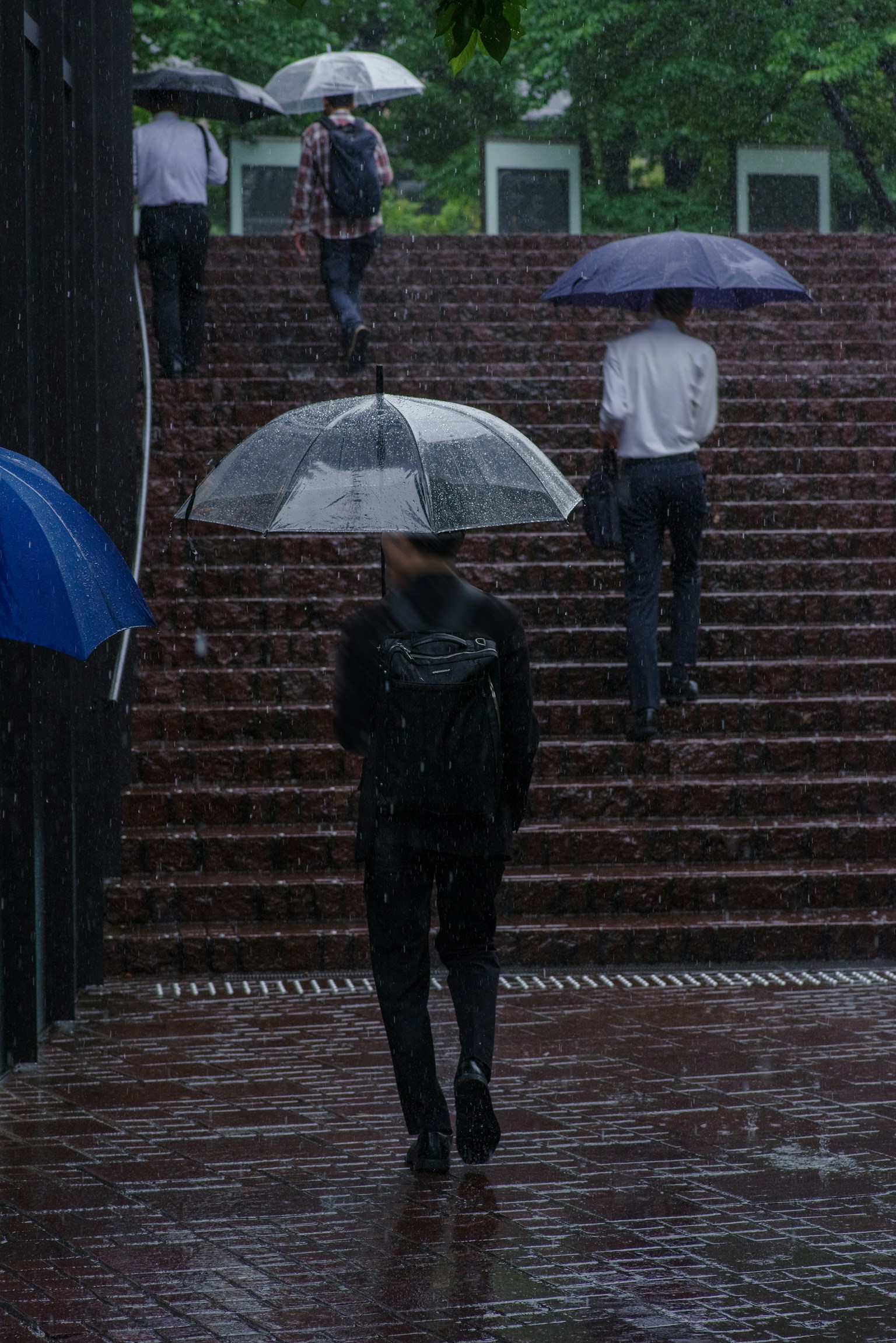 A person with an umbrella walking up stairs in the rain