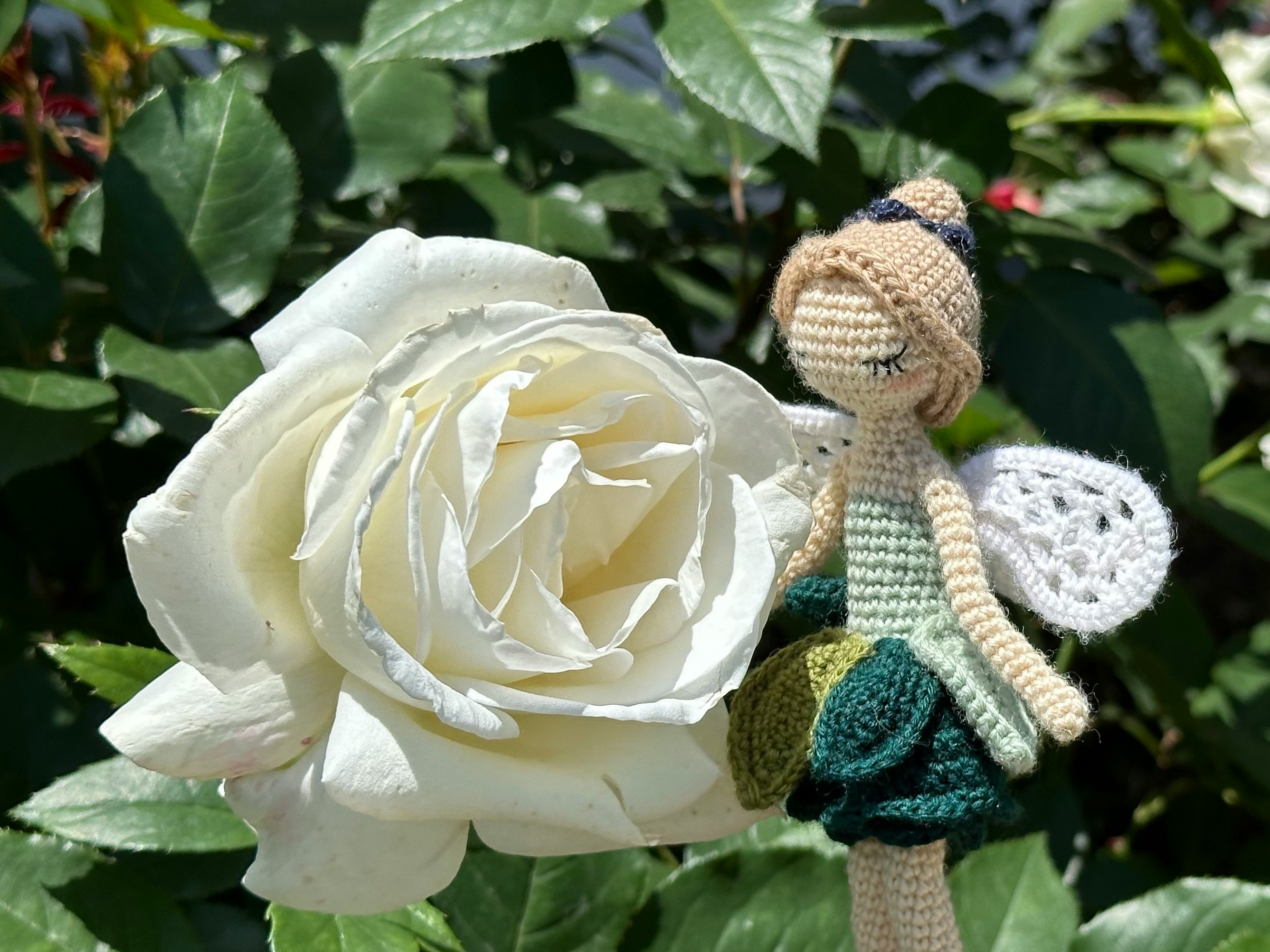 白いバラの花と手作りのあみぐるみ妖精人形