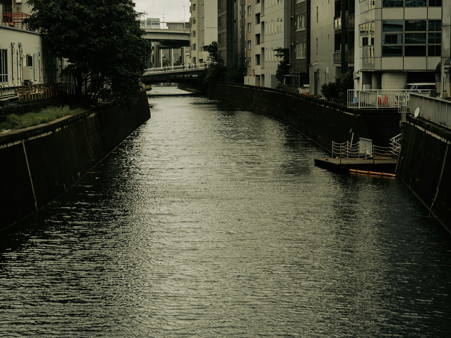 安靜的城市河流場景 水面混濁 周圍建築