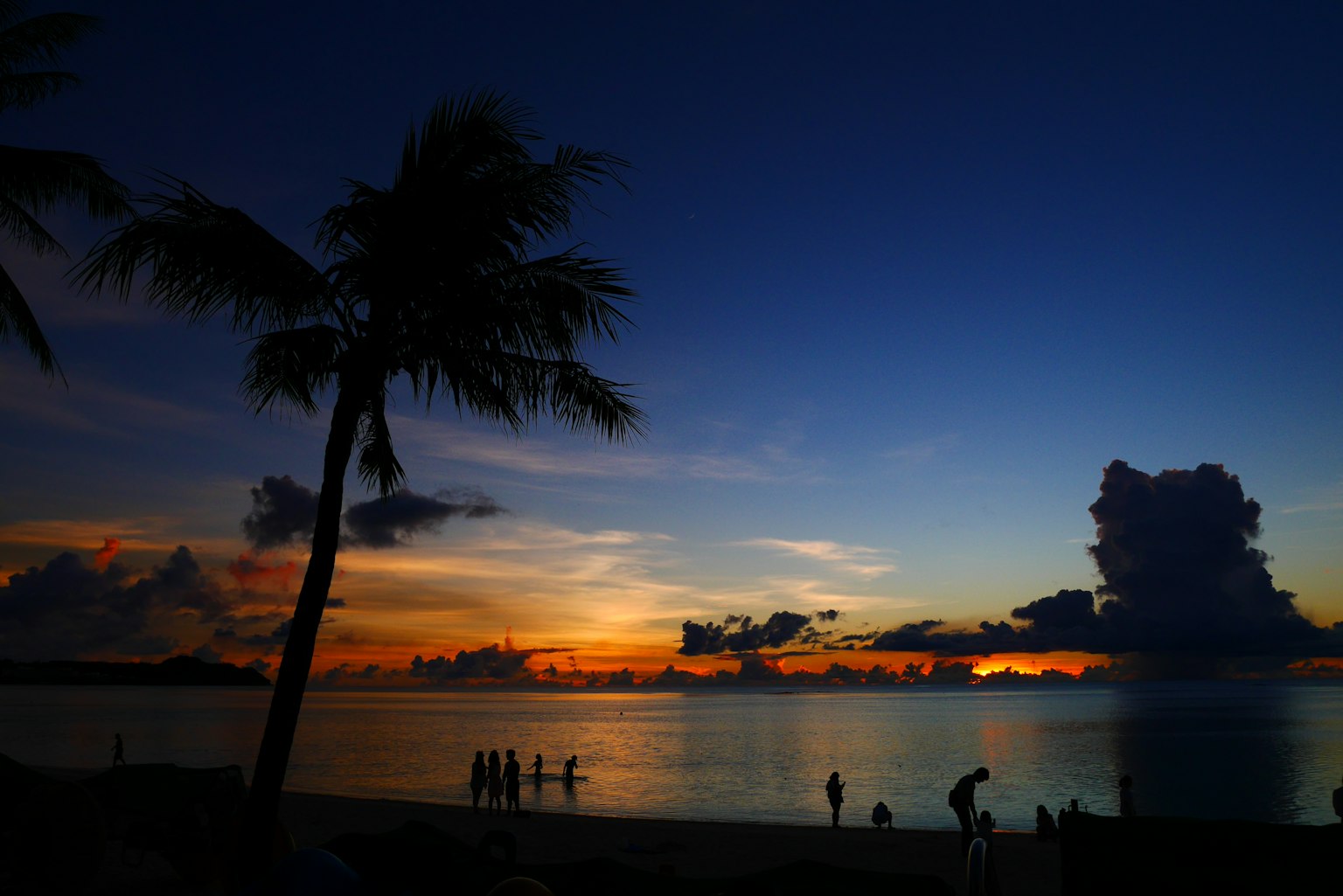 Sunset beach scene with silhouetted palm trees and orange blue sky
