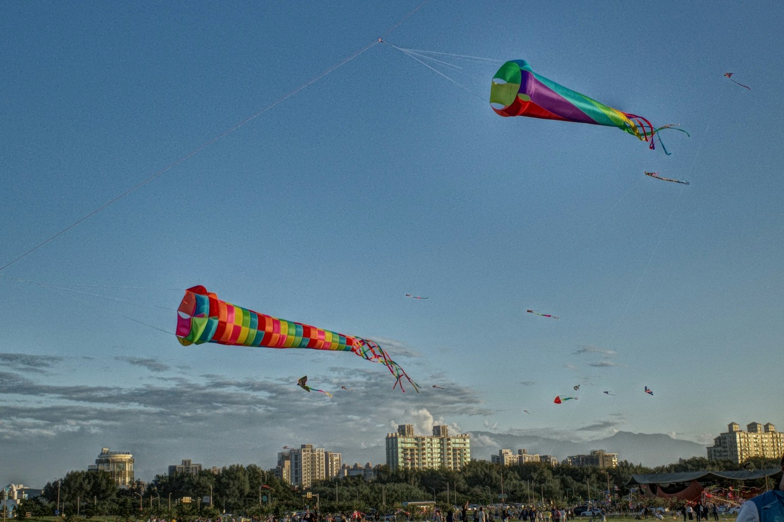 青空の下で色とりどりの凧が飛んでいる風景
