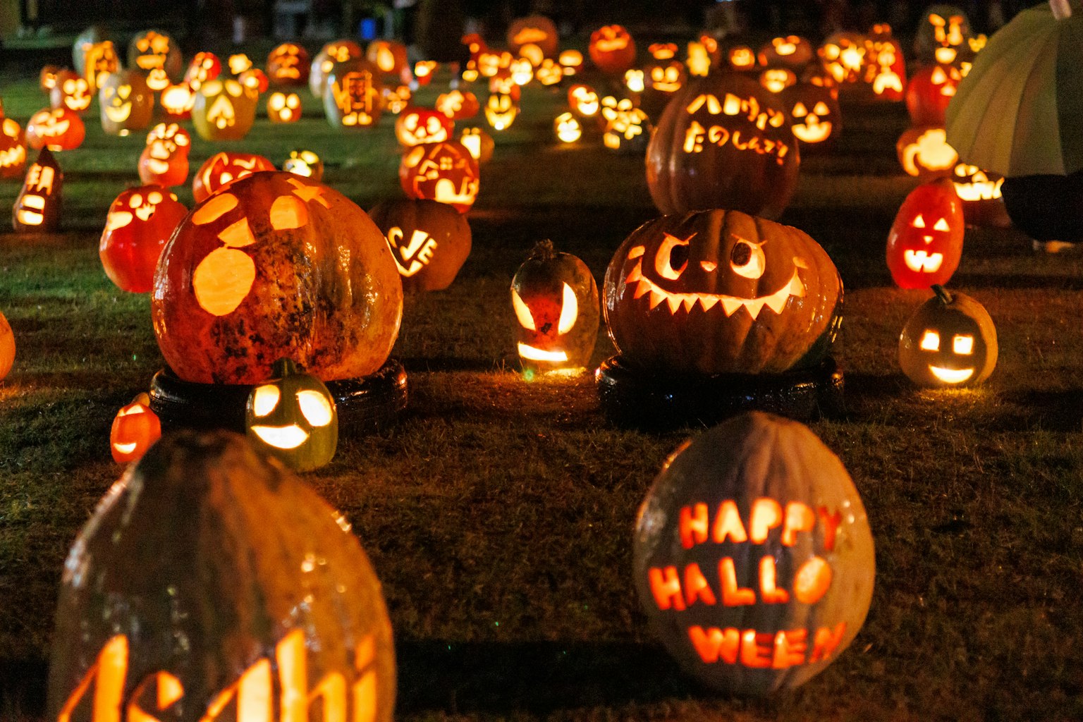 多くのカボチャのランタンが並ぶ夜の風景 ハロウィンのテーマで装飾されたカボチャが光を放つ