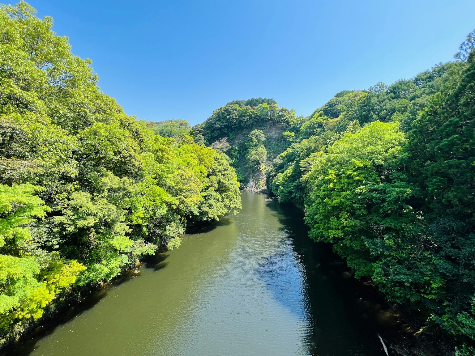 Vista panoramica di un fiume tranquillo circondato da una vegetazione lussureggiante sotto un cielo blu terso