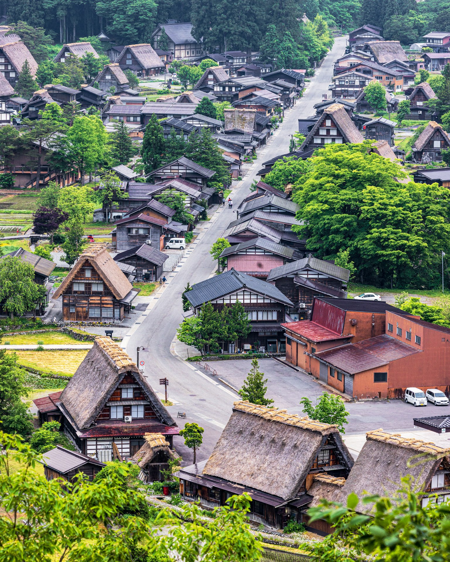 photo-uMP4GiXvS8fNwCsXRgn0-image