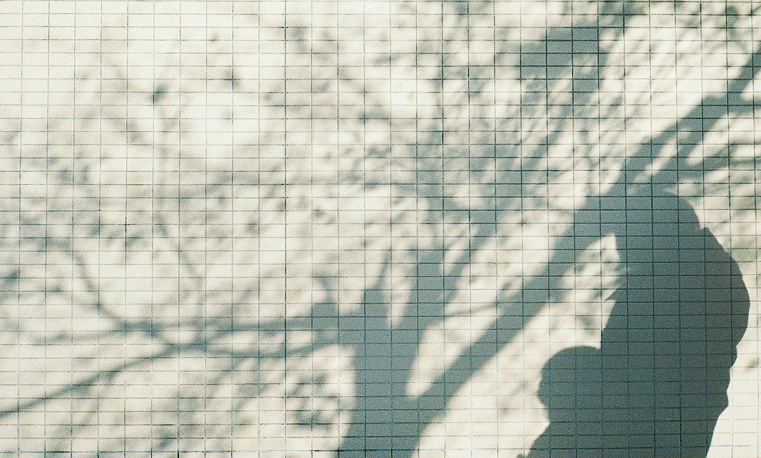 Silhouette of a person with tree shadows on a grid background