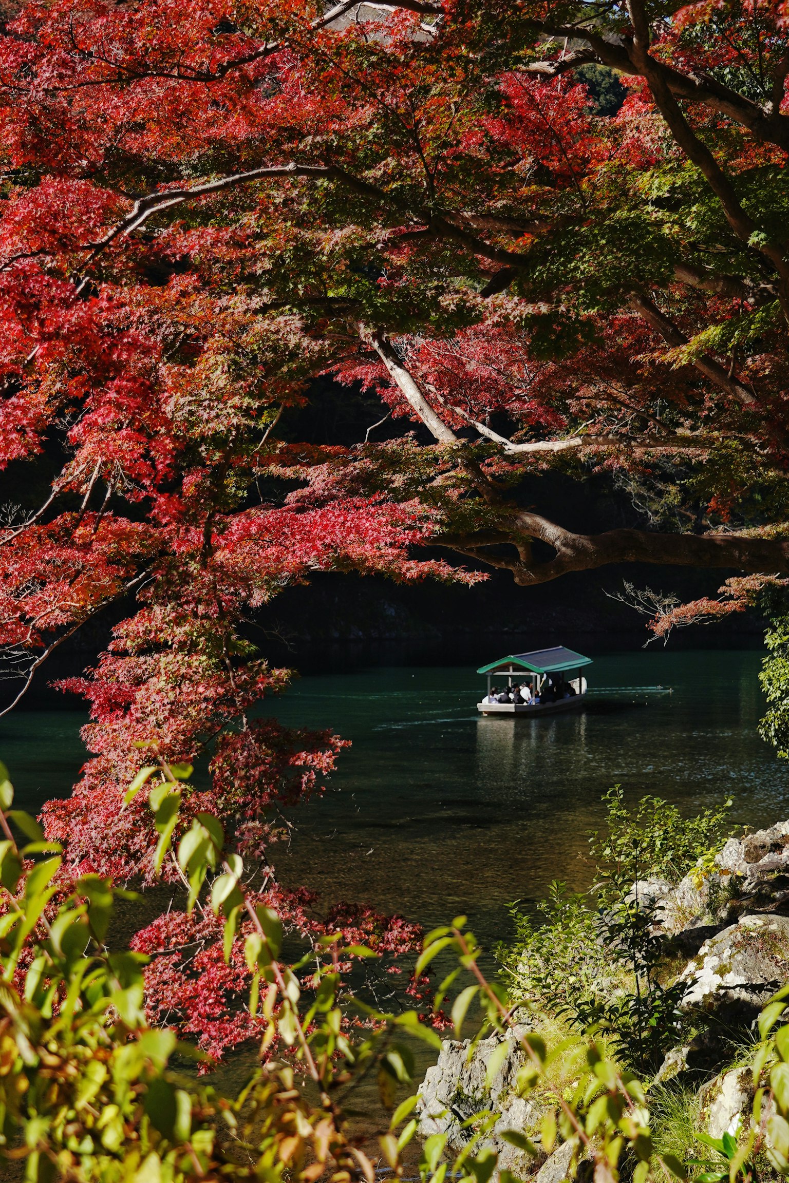 紅葉に囲まれた静かな川に浮かぶ小舟の風景