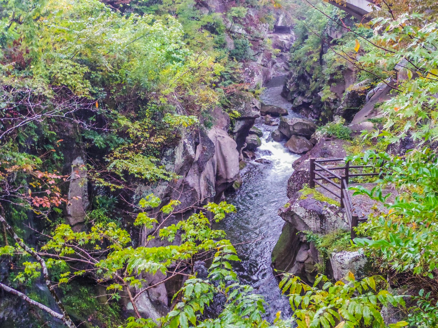 綠意盎然的山谷與流動的小溪的風景