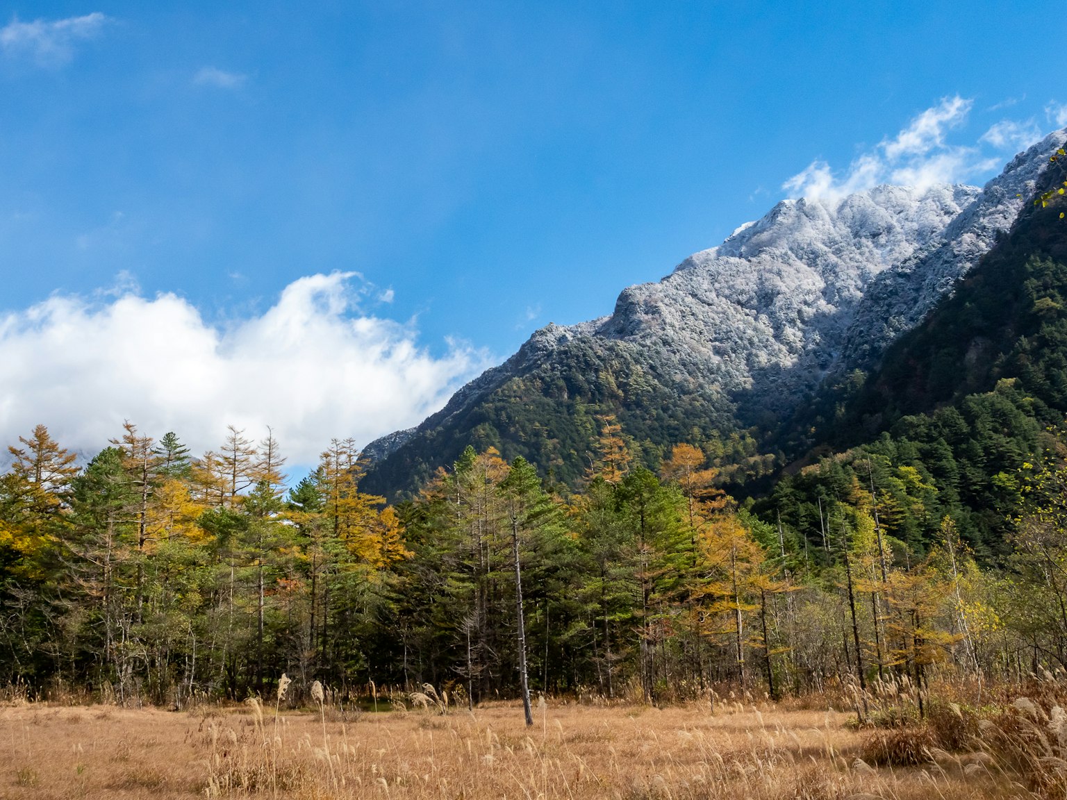 Malersches Landschaftsbild mit Bergen und Wäldern unter blauem Himmel mit Wolken