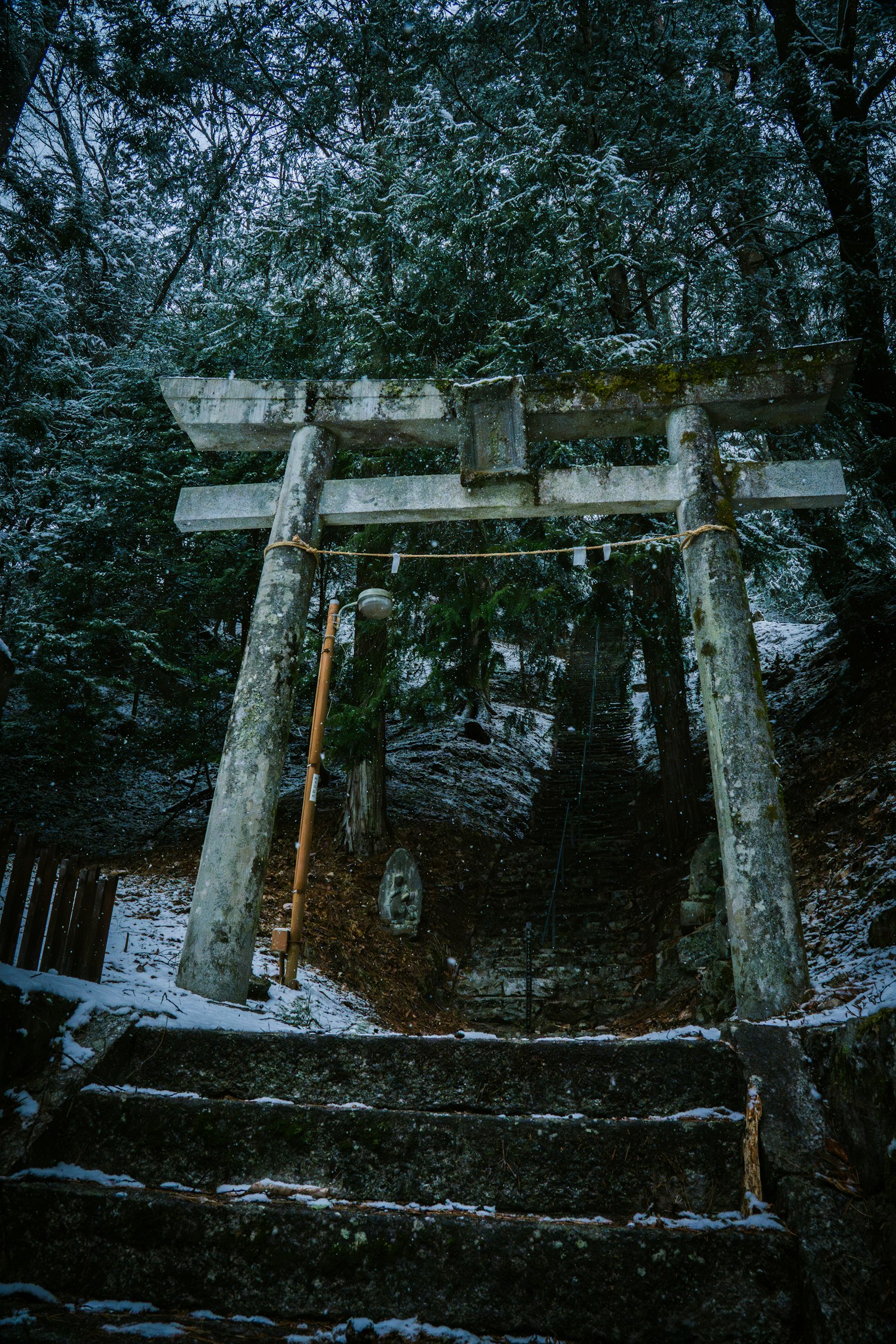 photo-uNfbkB5W3mmREYm8u8y8-image
