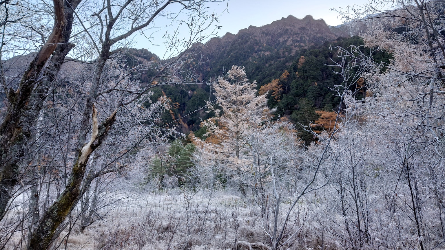 서리로 덮인 나무와 산 풍경