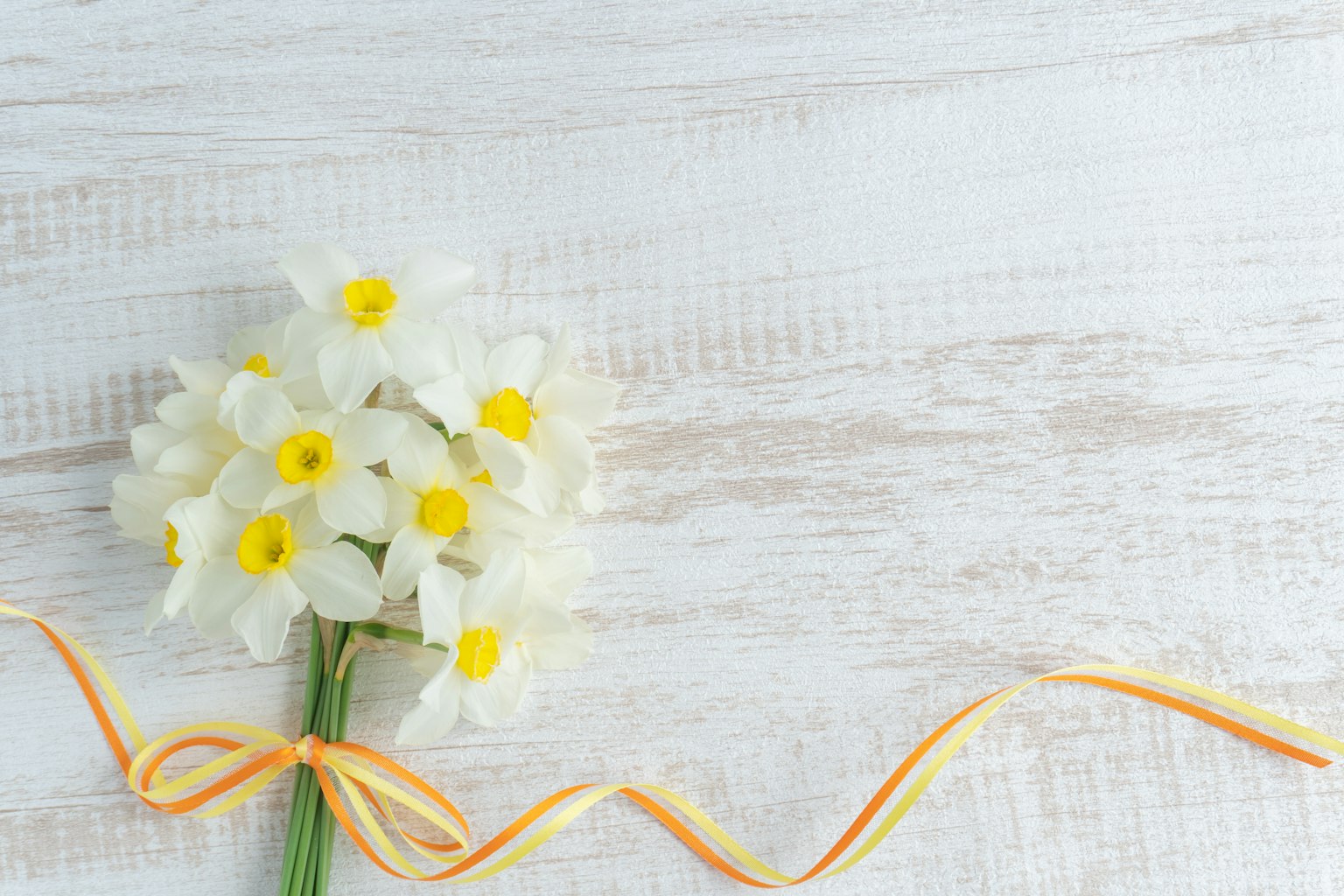 Un bouquet de fleurs blanches avec des centres jaunes attaché avec un ruban orange