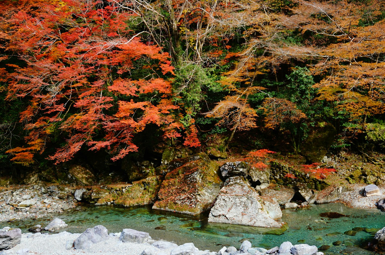 Malersiche Flussansicht mit lebhaftem Herbstlaub