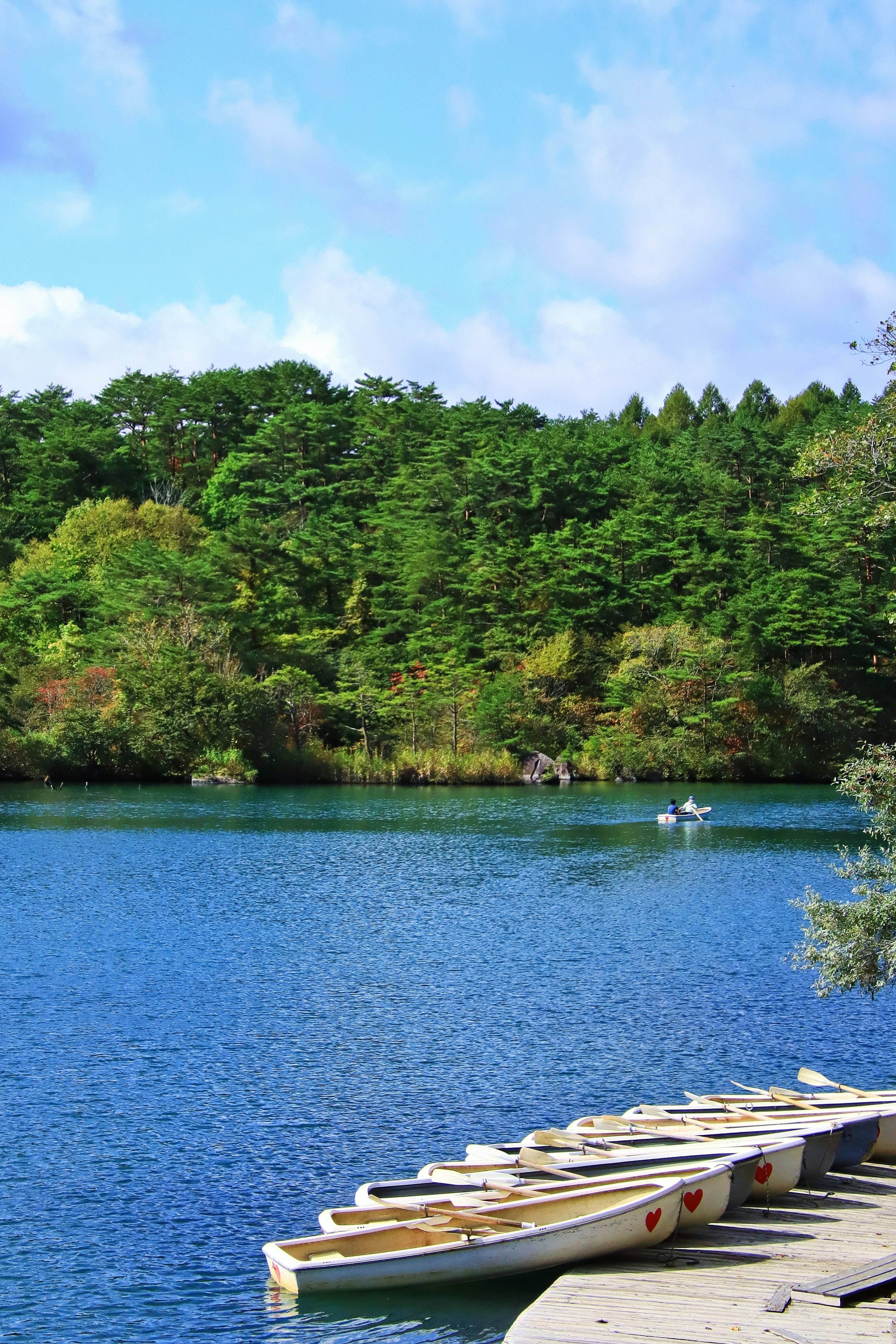 Scenic view of a blue lake surrounded by green trees with boats lined up at the dock