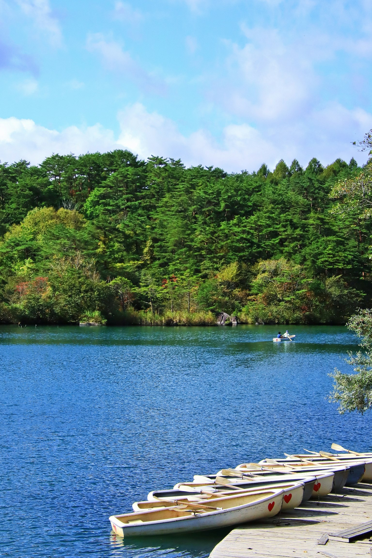 Scenic view of a blue lake surrounded by green trees with boats lined up at the dock