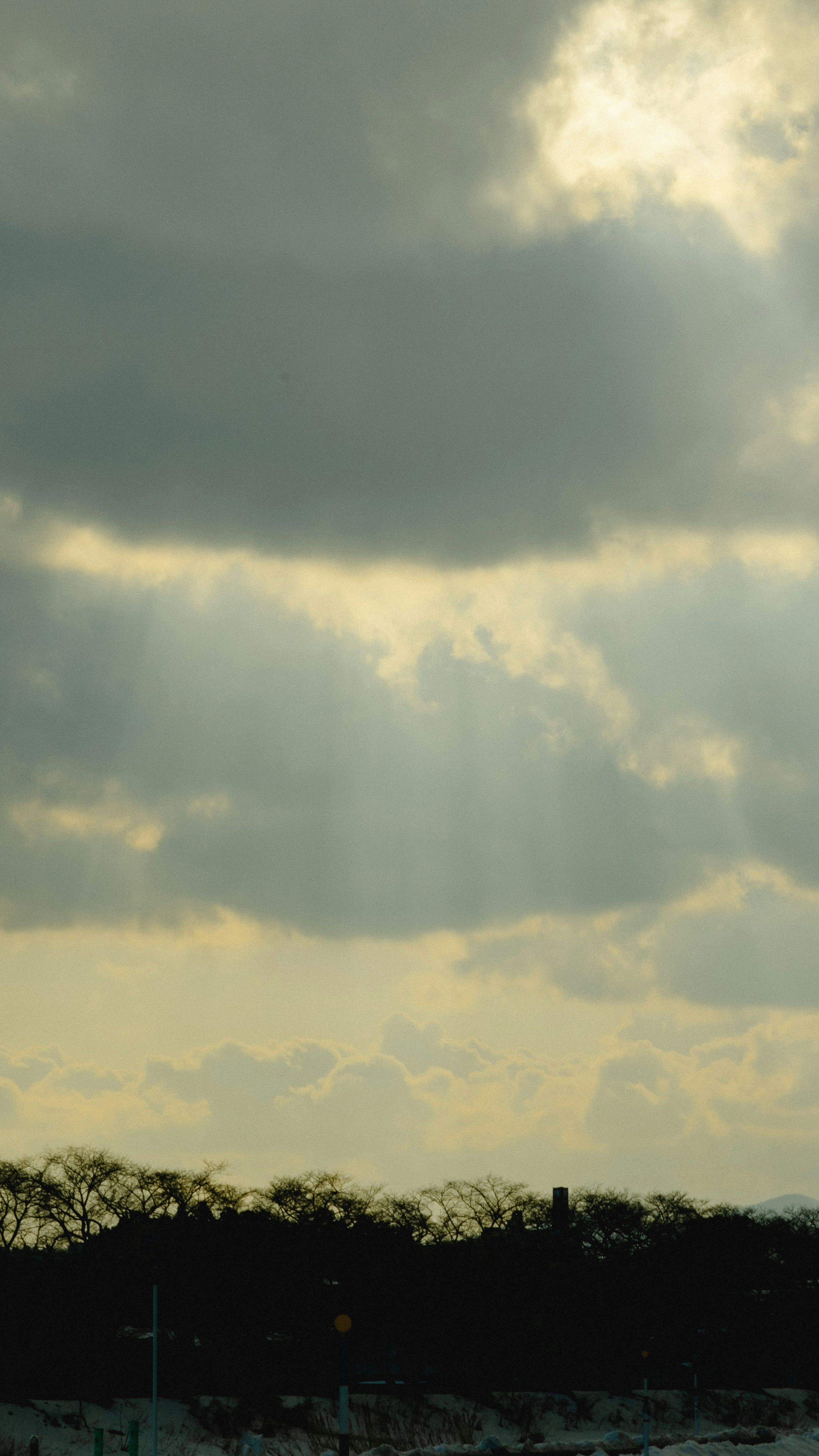 黃昏時分的層疊雲層天空與樹木剪影