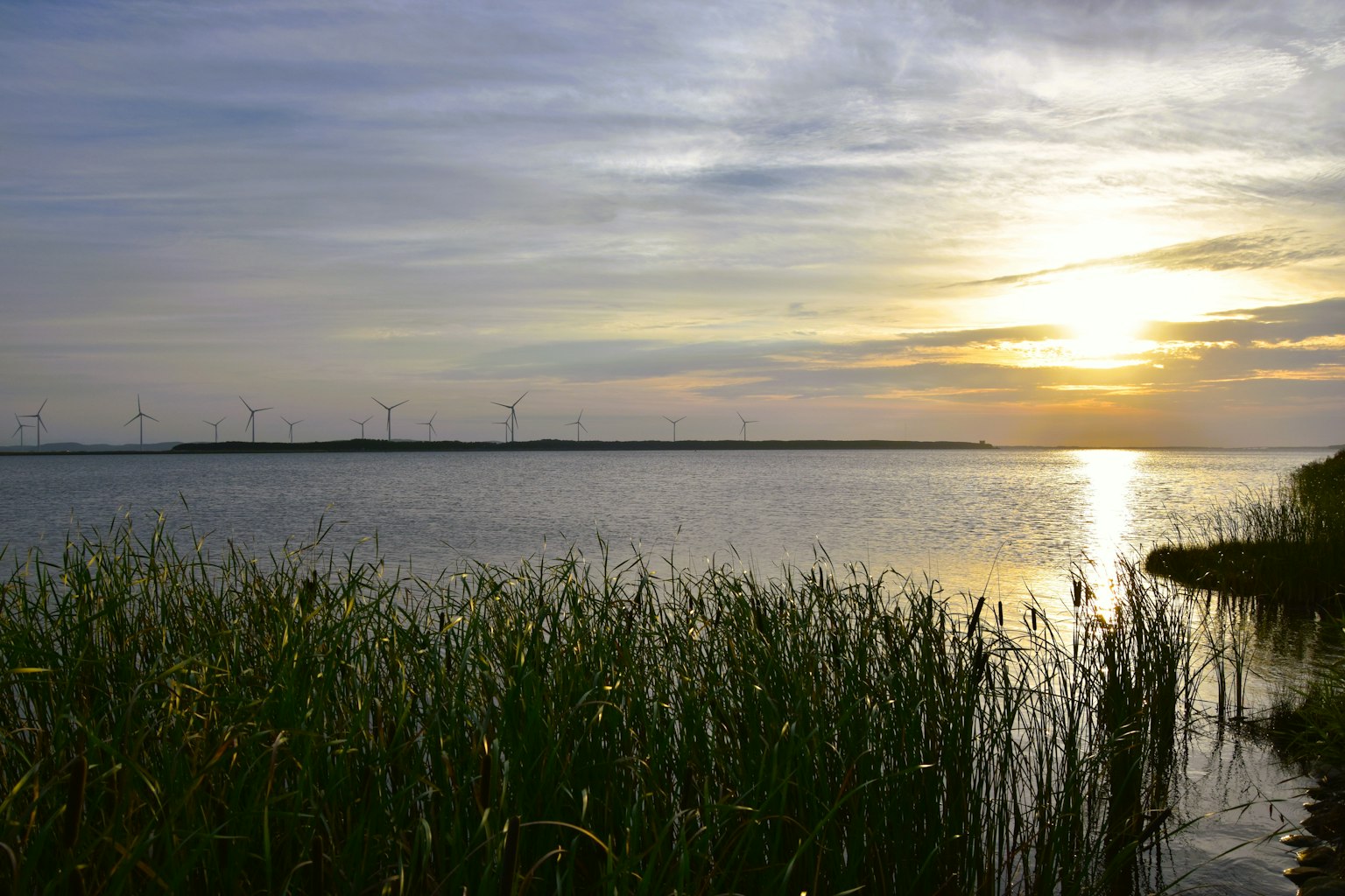 Atardecer sereno en un lago con hierba en primer plano