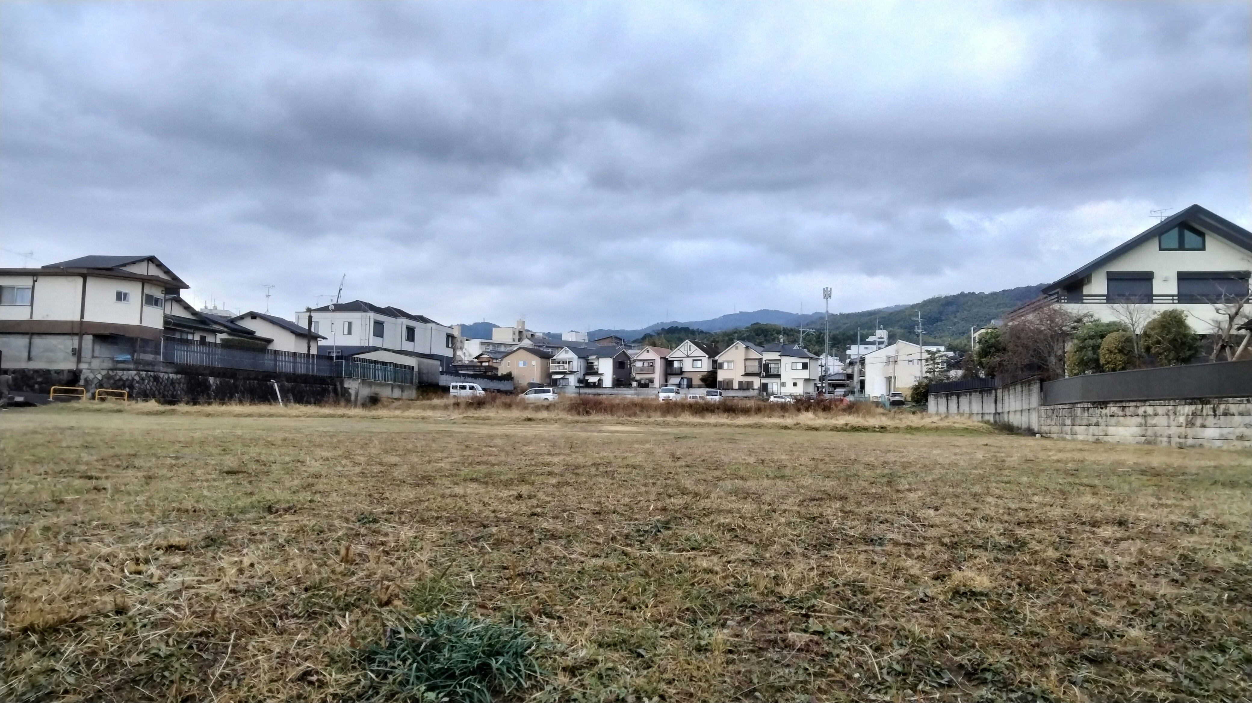 郊區空地與成排住宅的景象