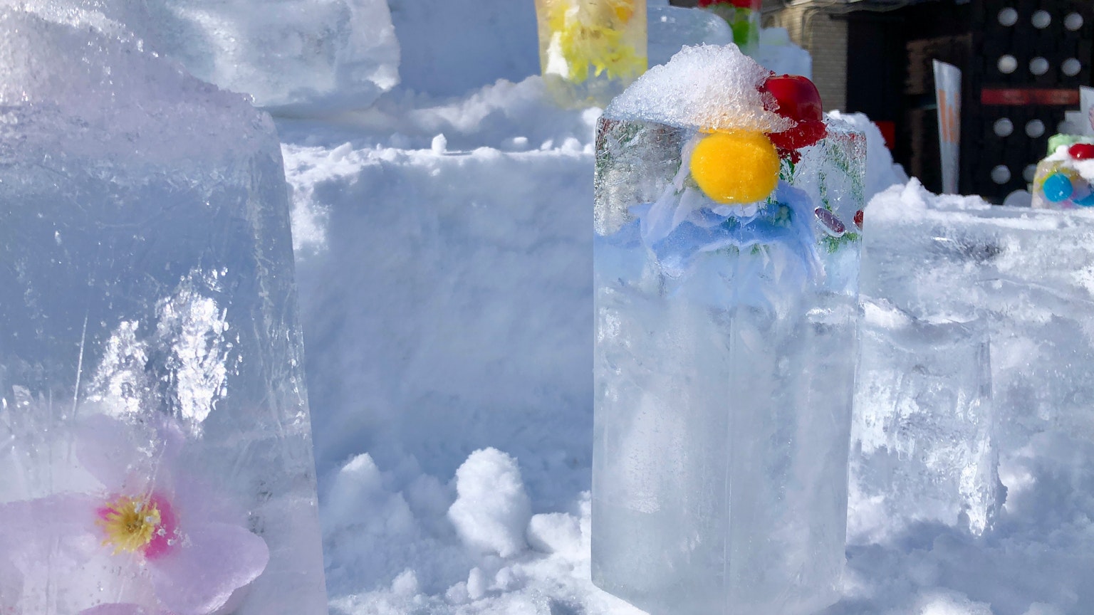 Fiori e frutti colorati incorporati in blocchi di ghiaccio circondati dalla neve