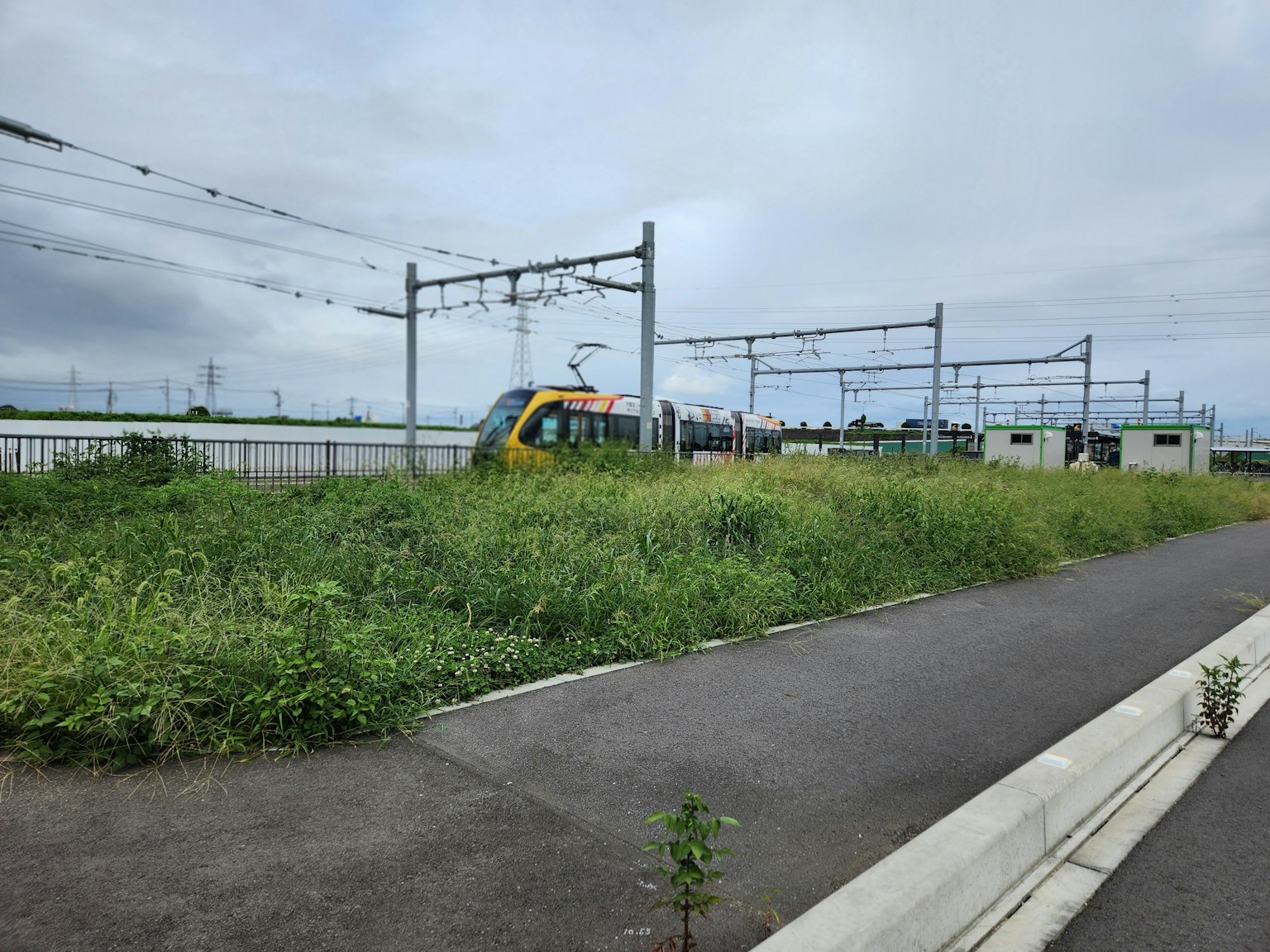 รถไฟที่อยู่ข้างรางล้อมรอบด้วยหญ้าสูงและท้องฟ้าหม่นหมอง