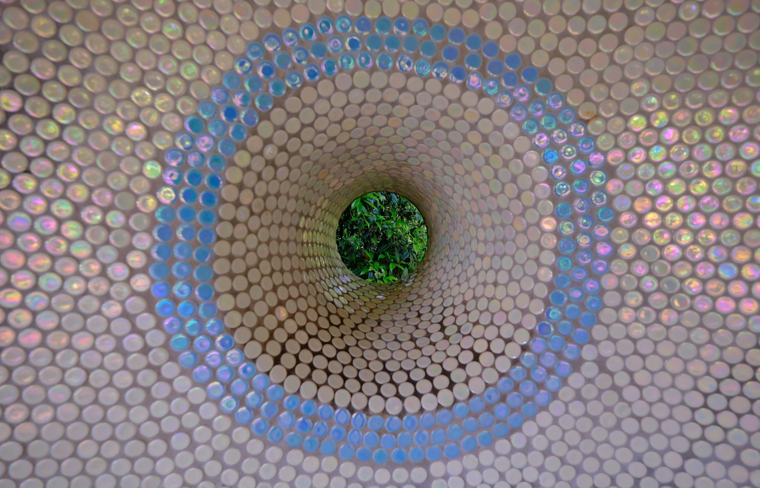 円筒形の構造物の内部から見た緑の植物と虹色の反射