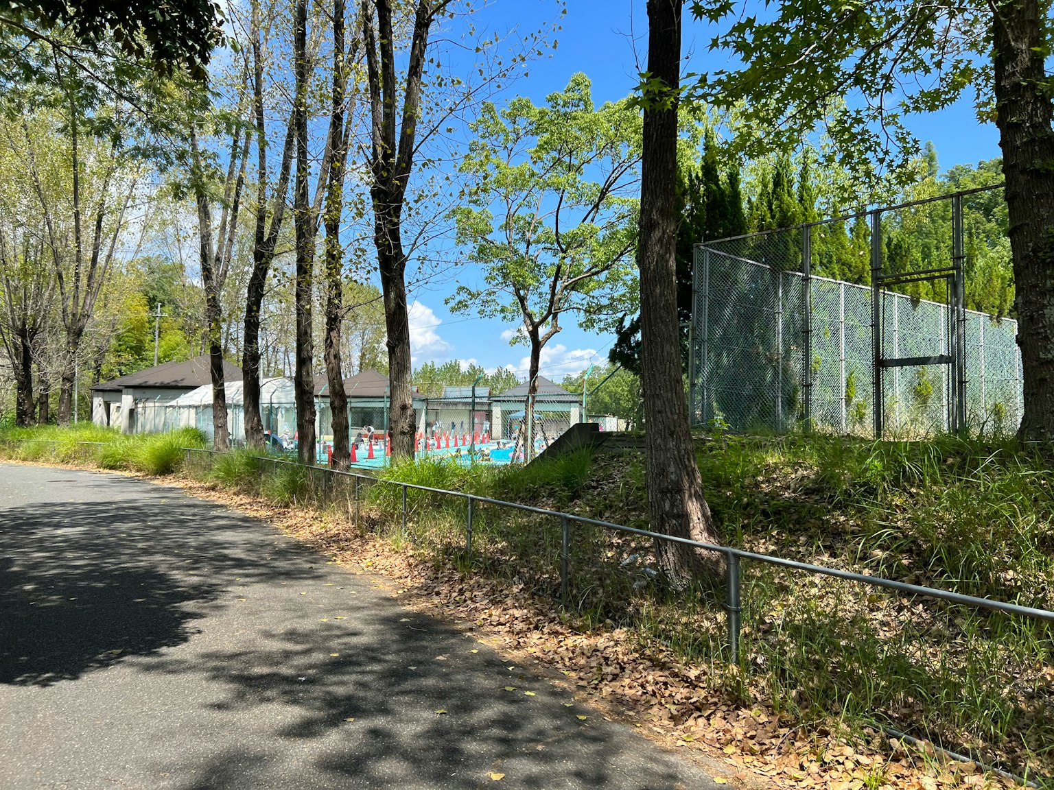 沿着道路的公园风景，有郁郁葱葱的树木和晴朗的蓝天