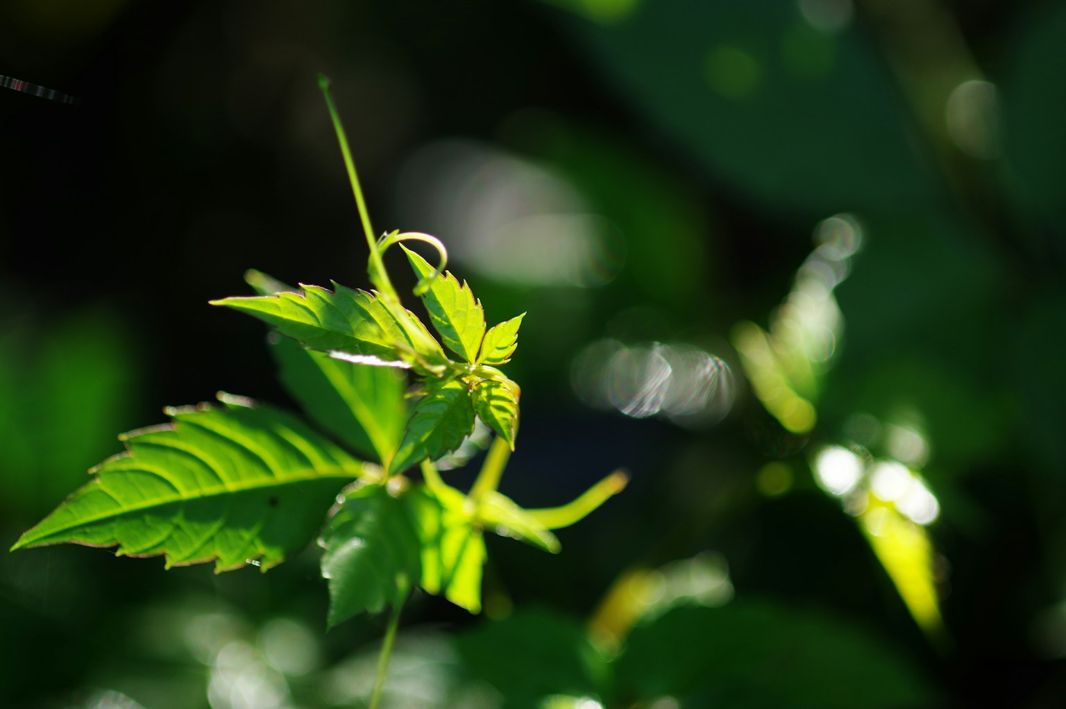 photo-uRCFYZ1dGakc7pX2HiJM-image