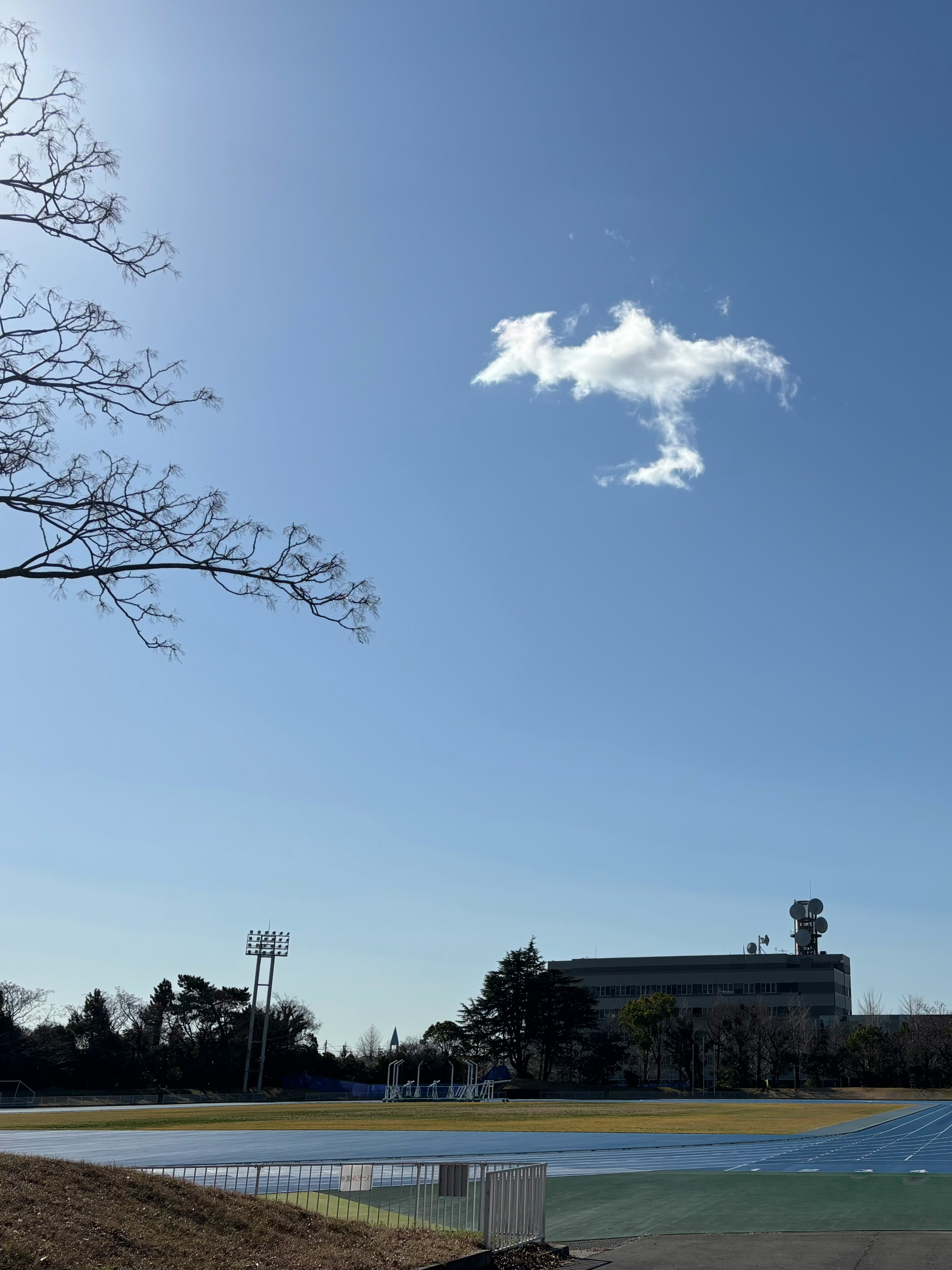 鳥のような形の雲が浮かぶ青空と広い運動場