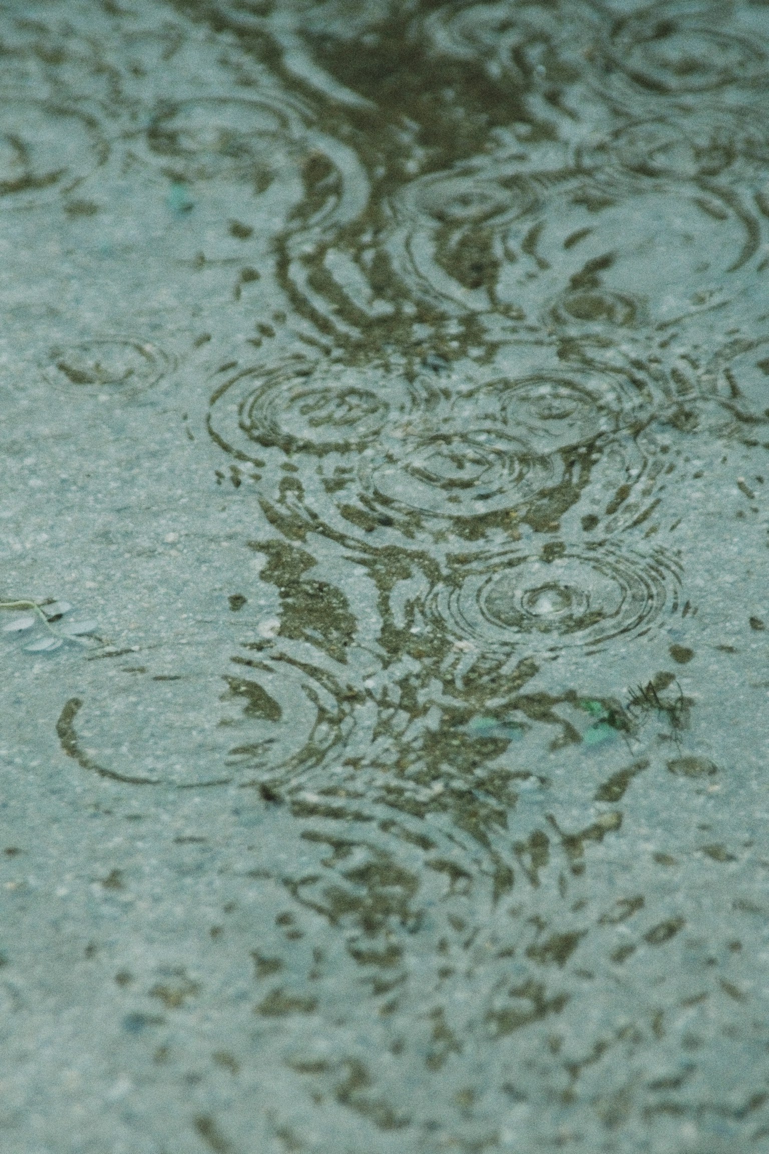 Increspature e riflessi in una pozzanghera sul terreno durante la pioggia