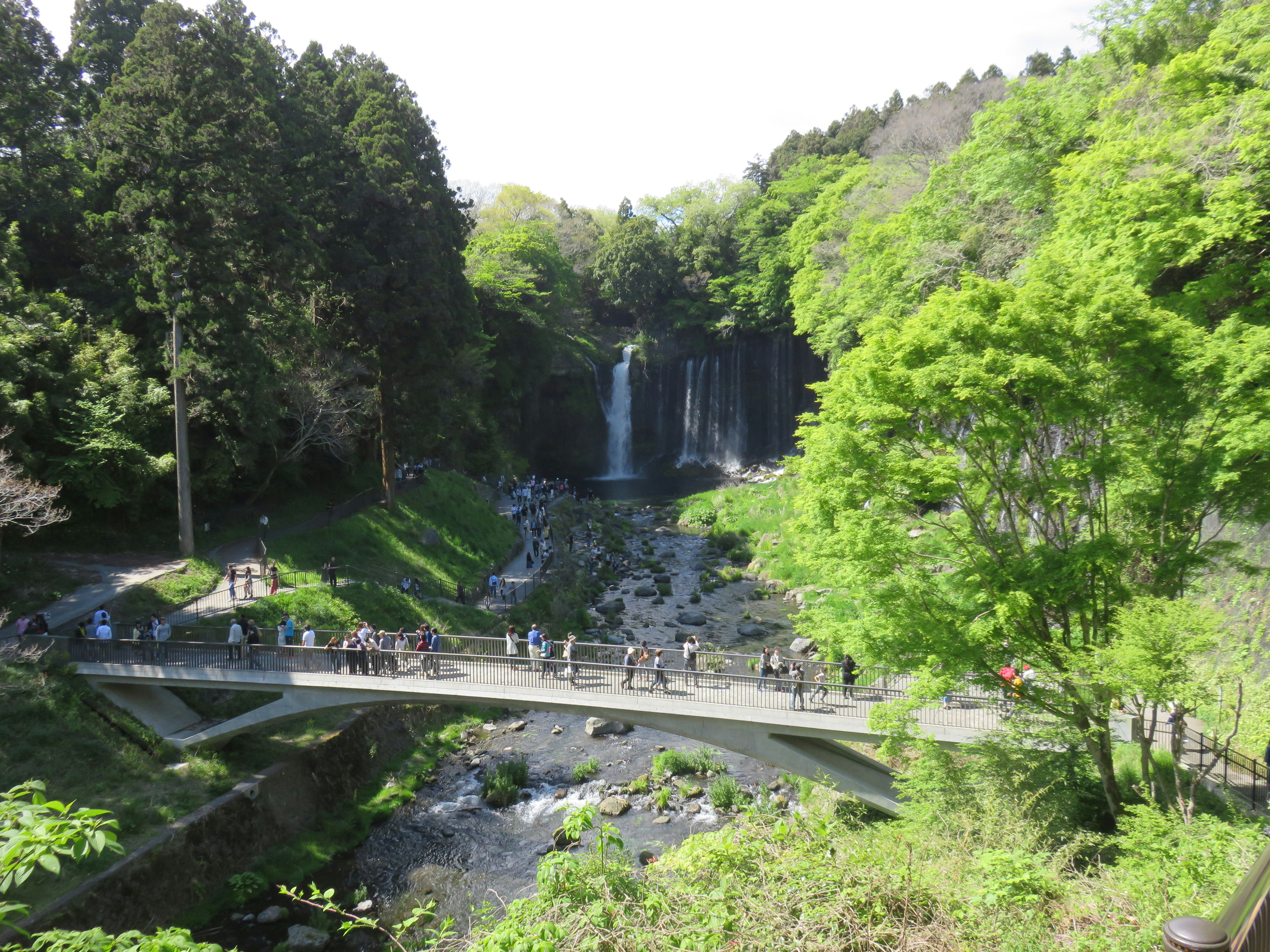 緑の渓谷に流れる滝と展望デッキのある自然公園の風景
