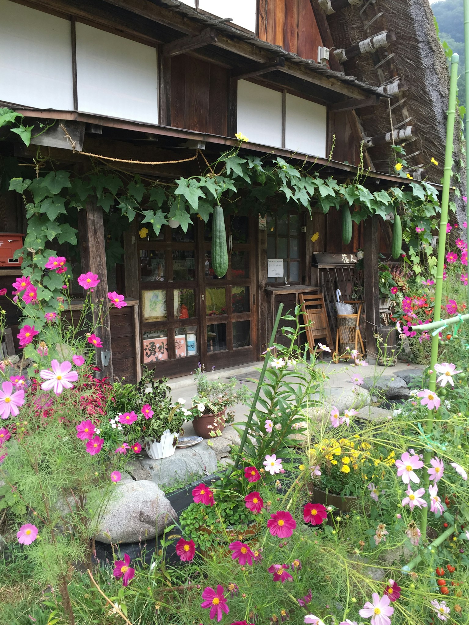 Traditional wooden house with colorful flowers in the garden