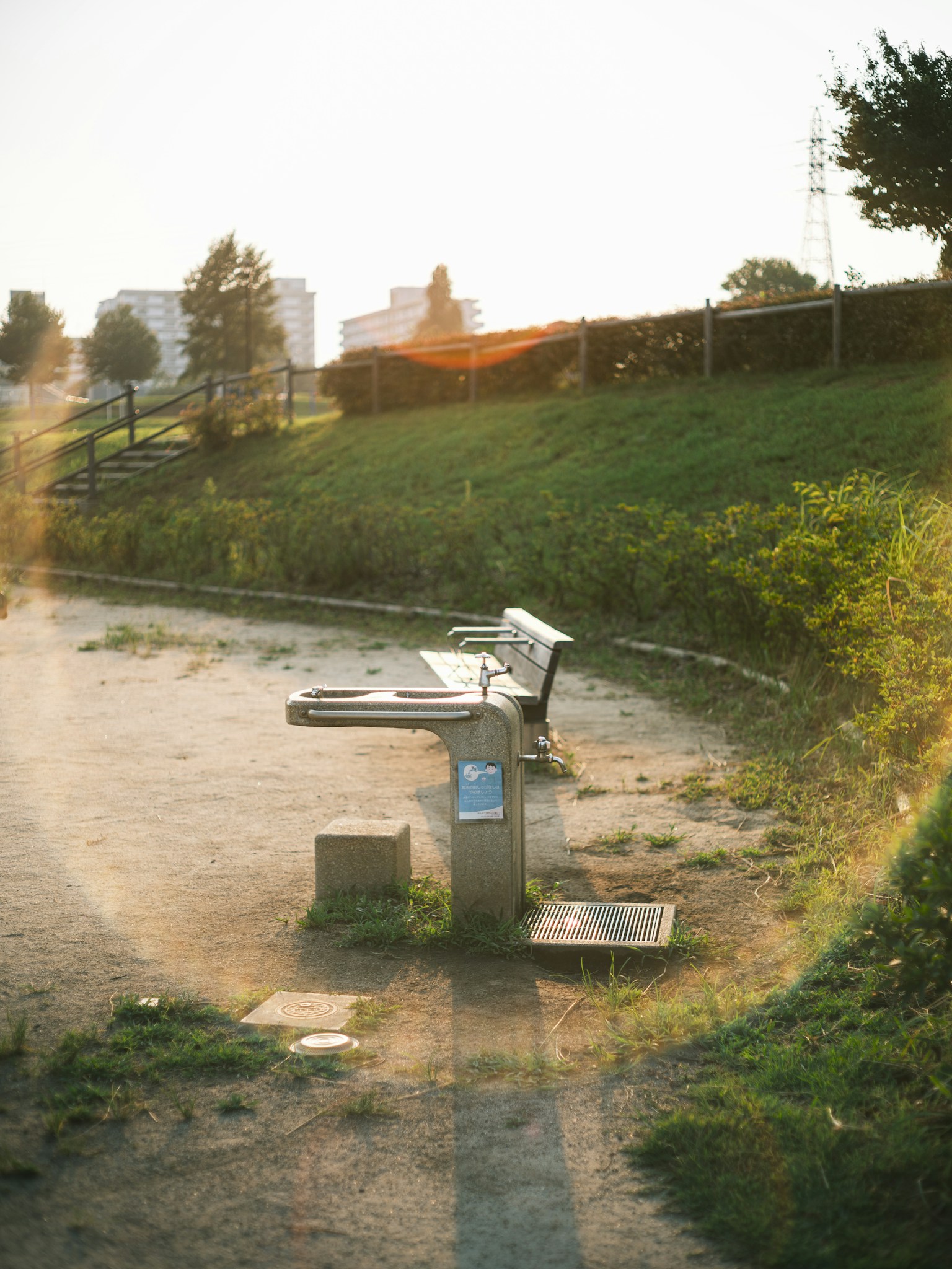 Pemandangan taman dengan bangku dan air mancur yang diterangi sinar matahari di atas rumput hijau