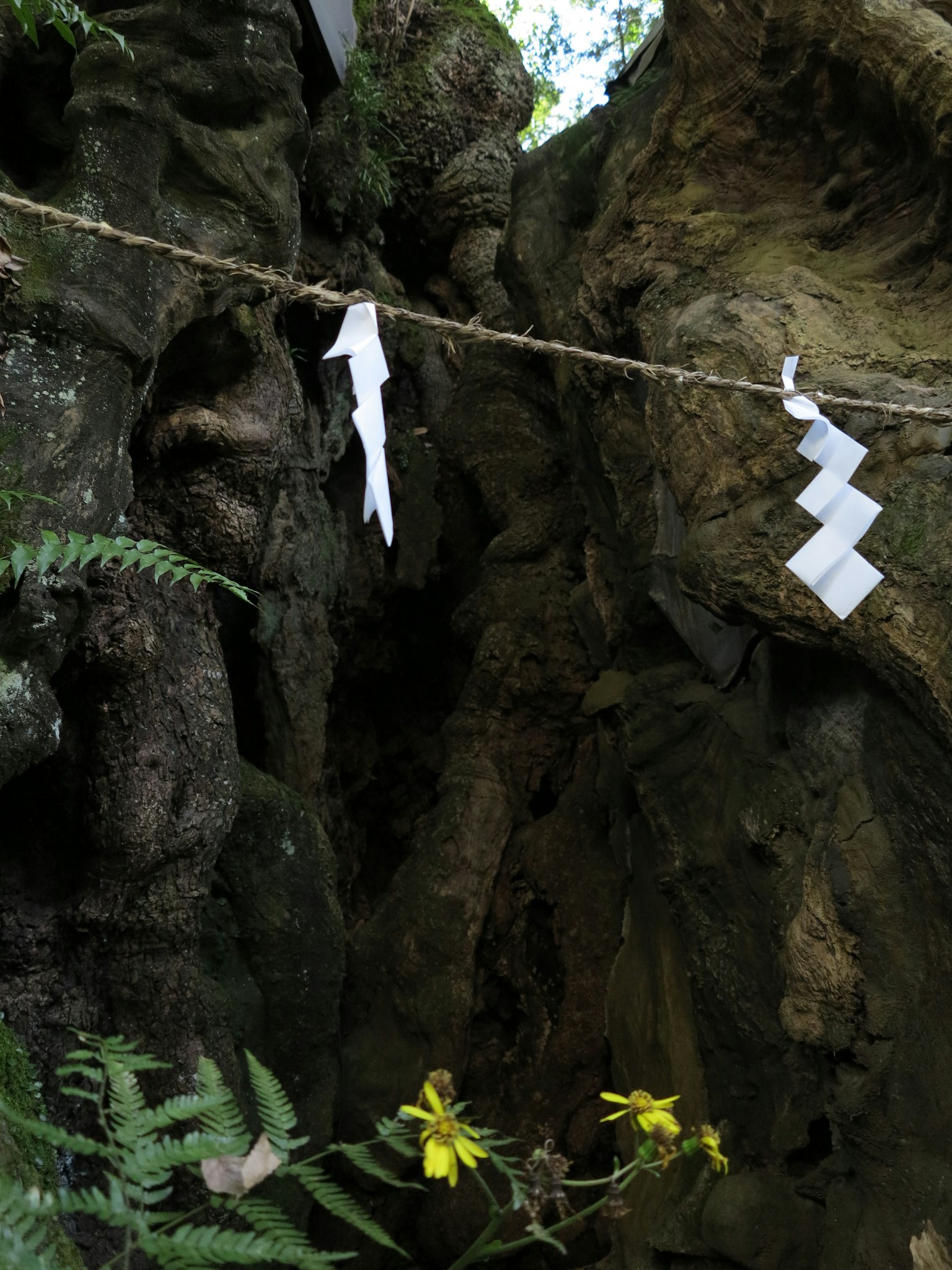 Naturszene mit weißen Papieropfern und gelben Blumen in der Nähe von felsigem Gelände