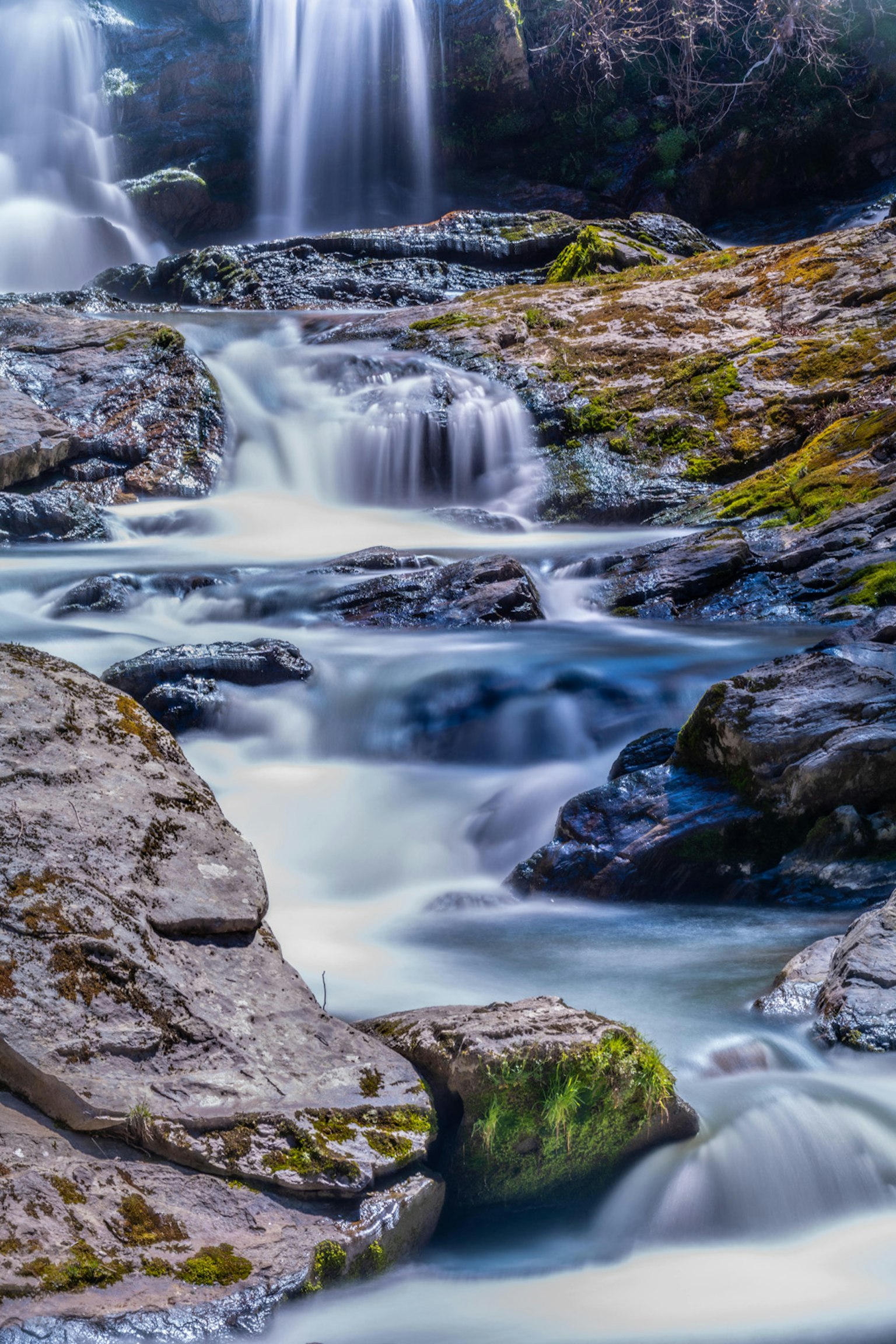 Paysage naturel avec une belle cascade et de l'eau qui coule