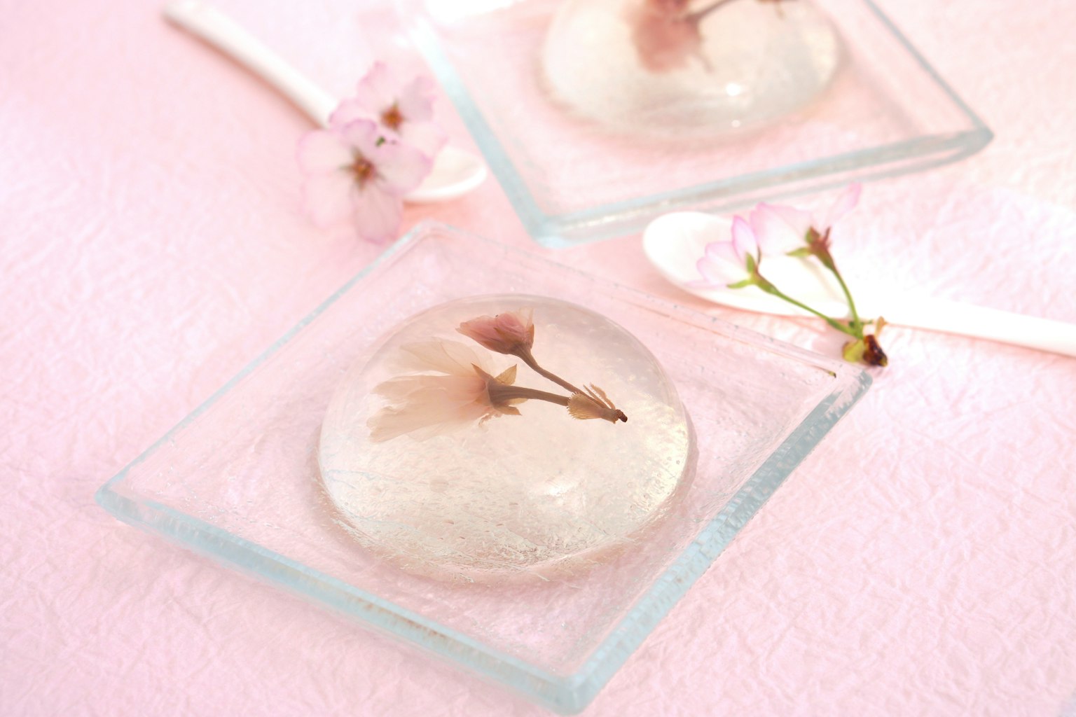 Gelatina transparente con flores de cerezo en platos de vidrio sobre un fondo rosa