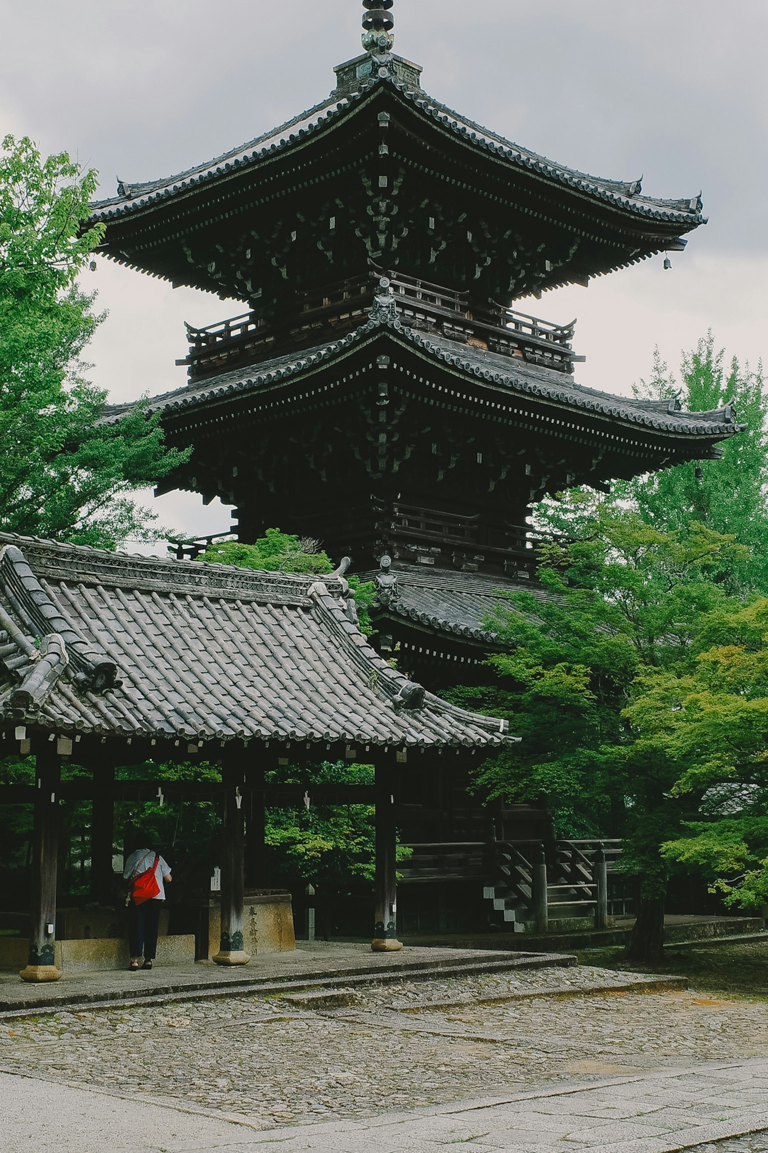 Una scena di tempio serena con una pagoda nera in legno a tre piani circondata da alberi verdi lussureggianti