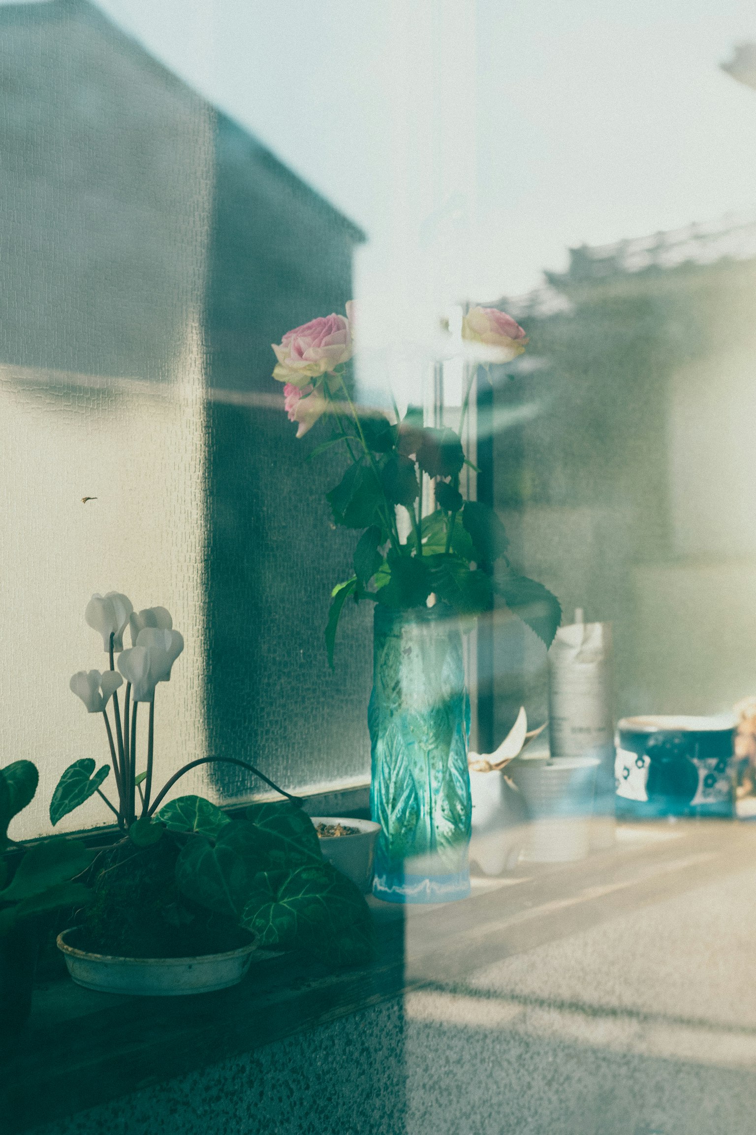 花瓶に入った花と植物が映る窓の反射