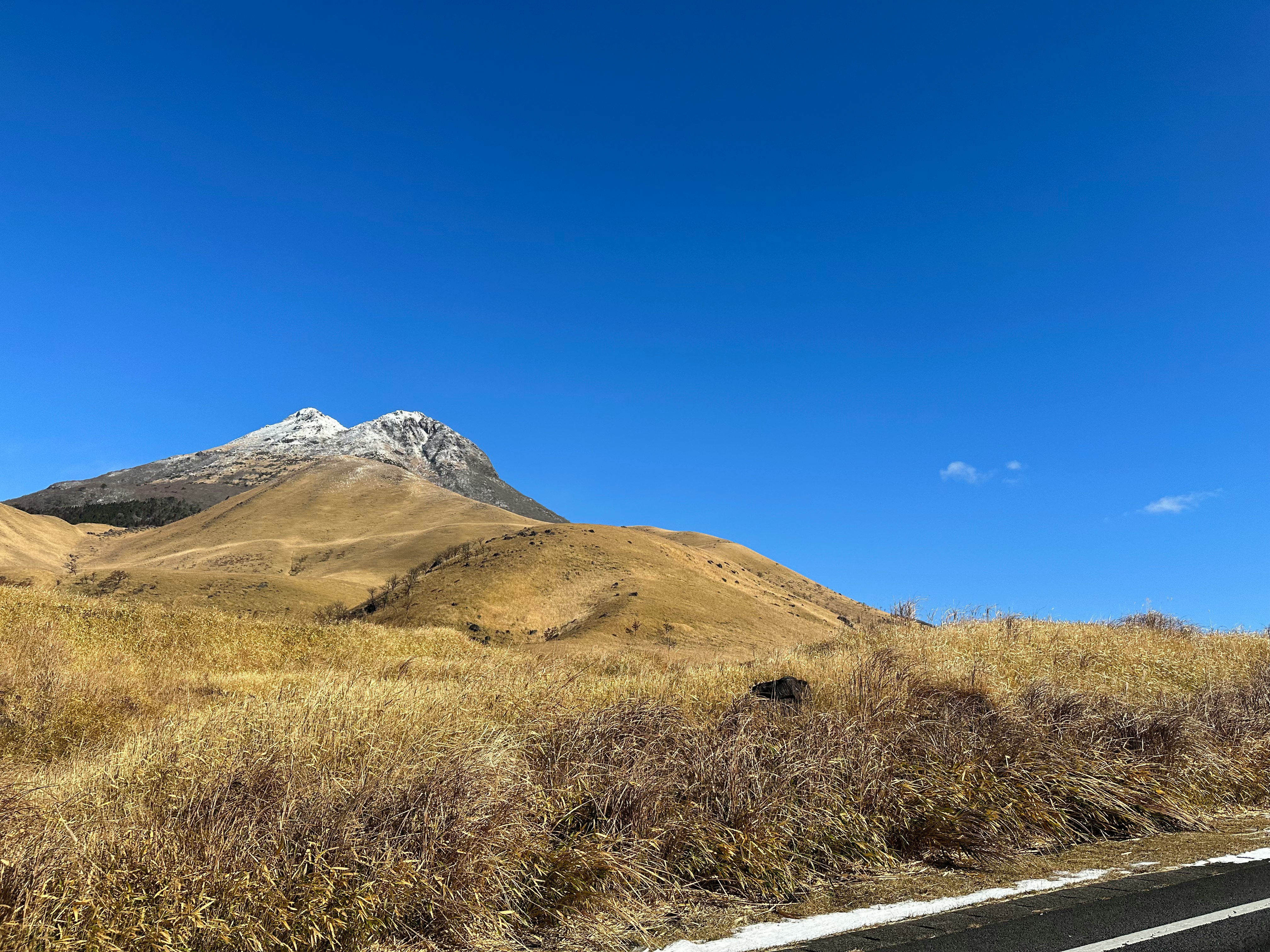 乾いた草原と山の稜線が広がる風景