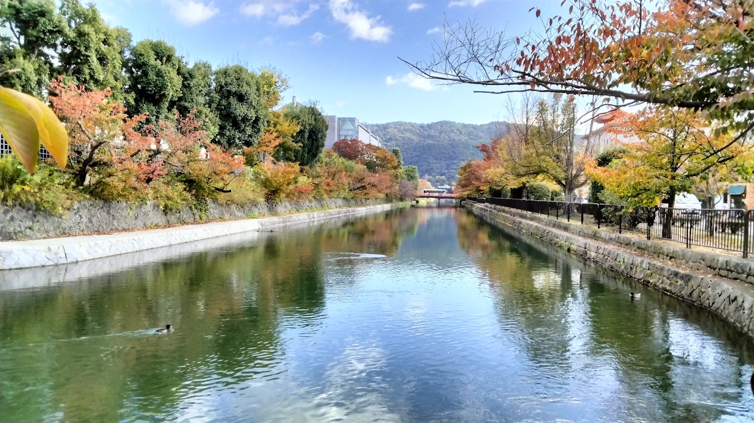 Vue pittoresque d'une rivière avec feuillage d'automne sous un ciel bleu