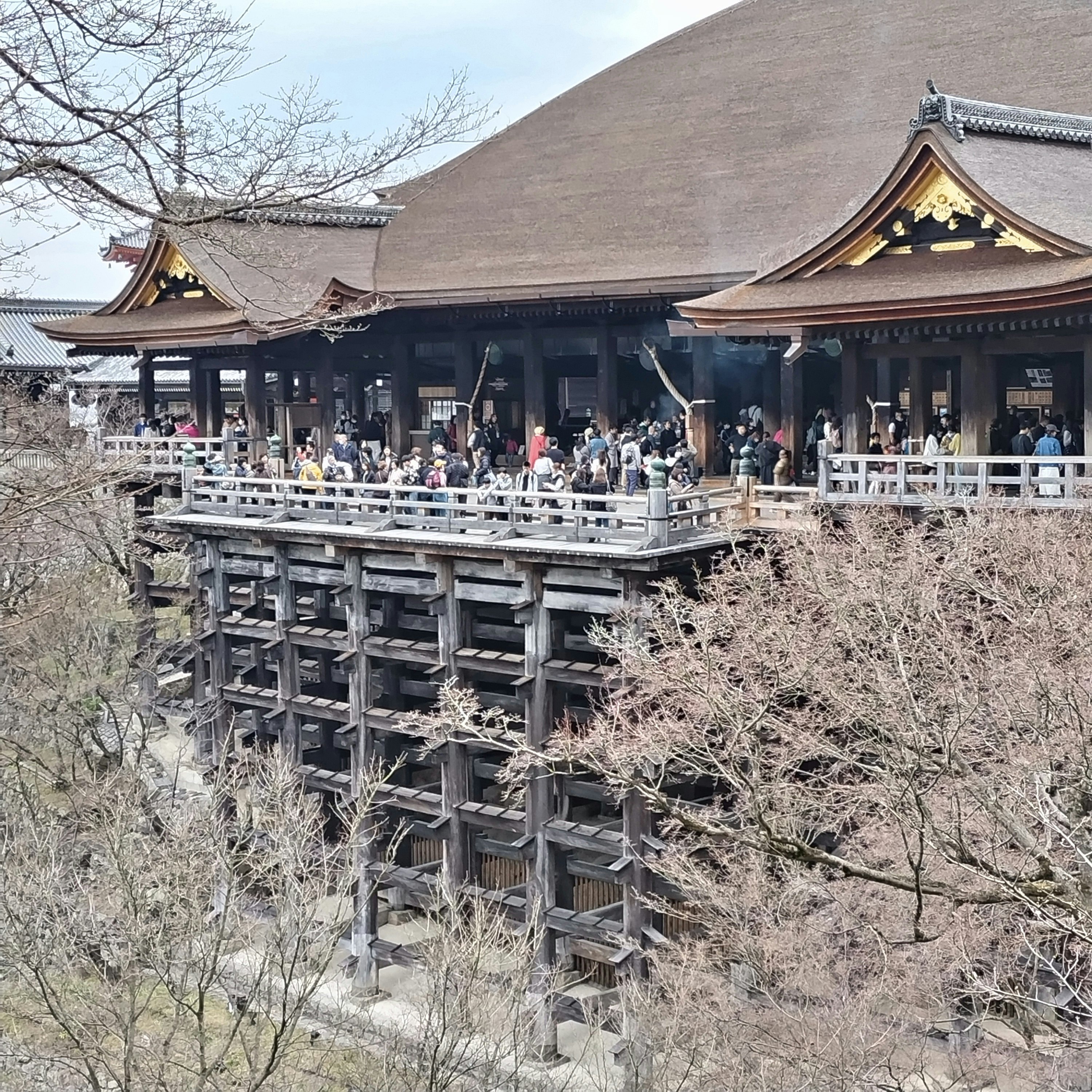 木造の回廊と参拝客が並ぶ寺院の境内