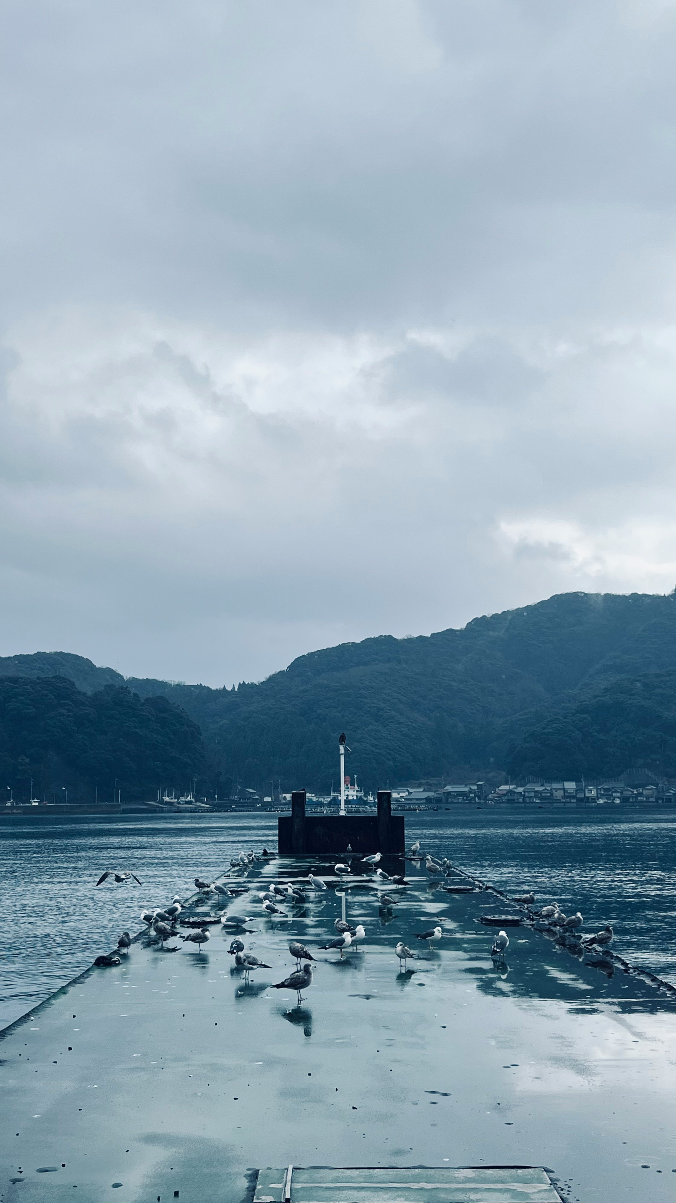Molo sul mare con barche al largo sotto un cielo coperto